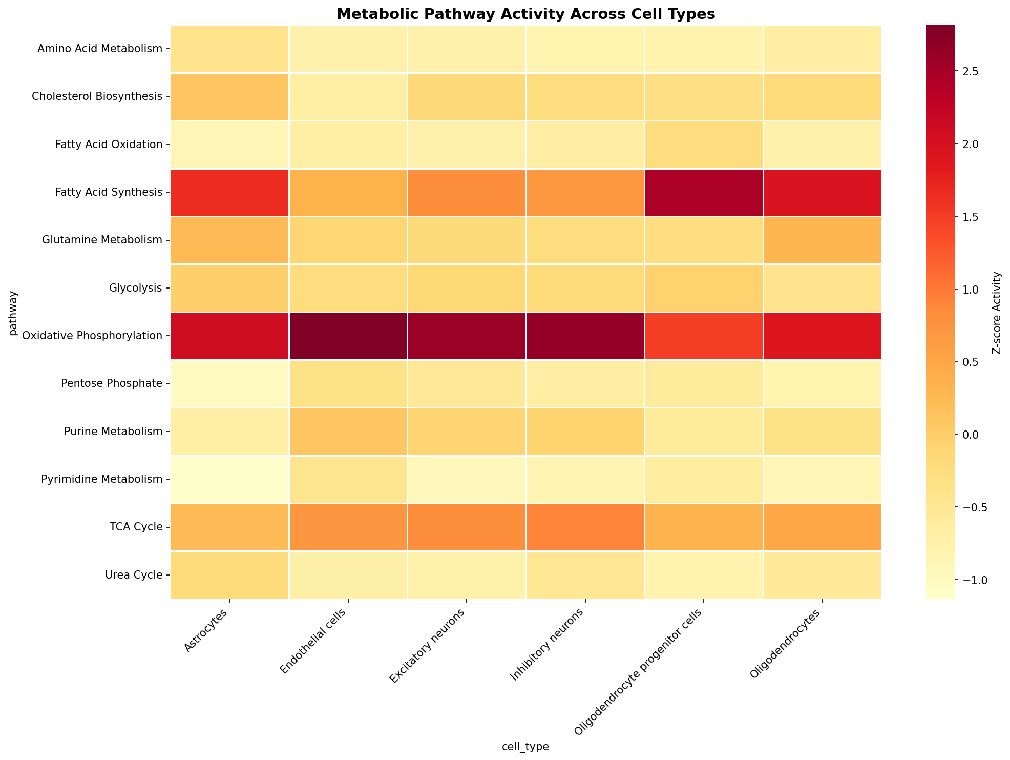 Metabolic Pathway Heatmap