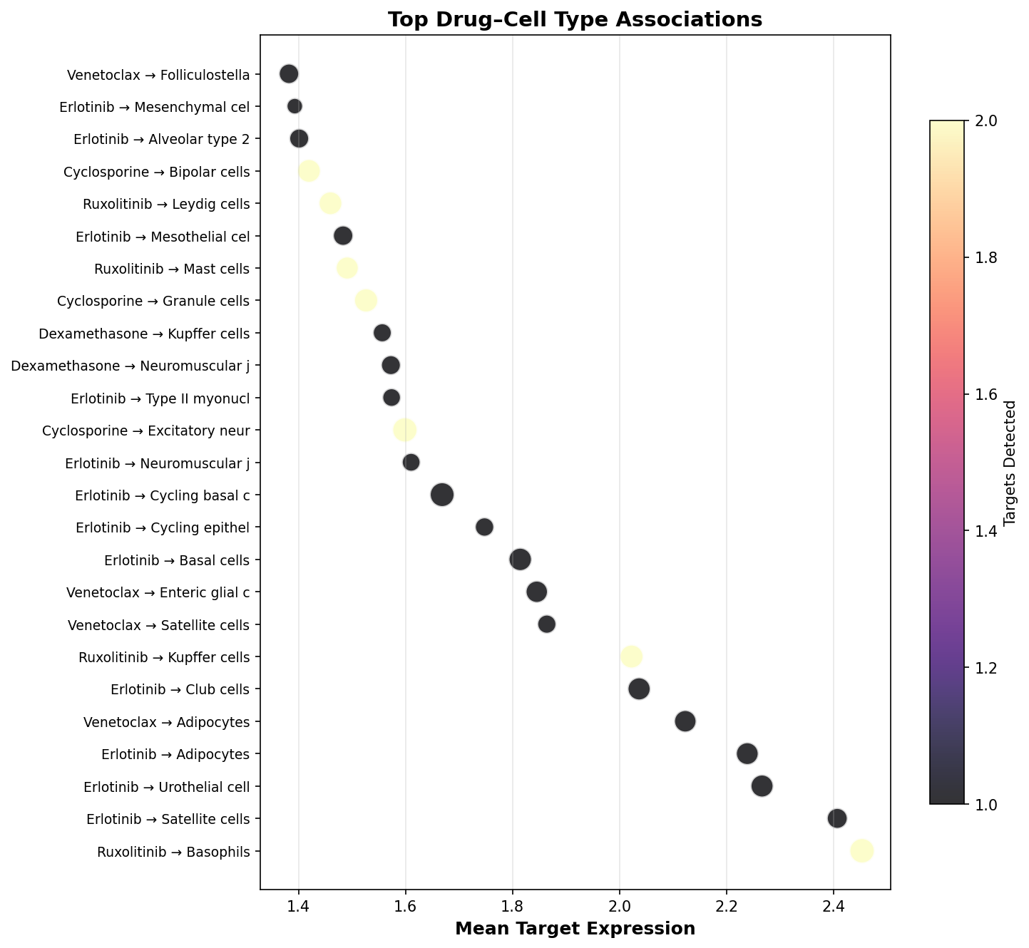Top Drug–Cell Type Associations