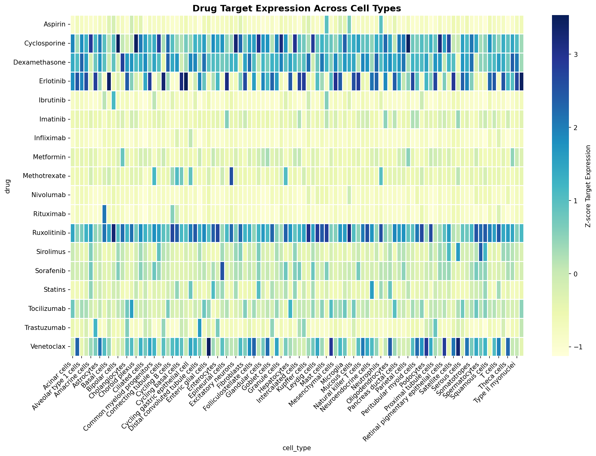 Drug Target Expression Heatmap