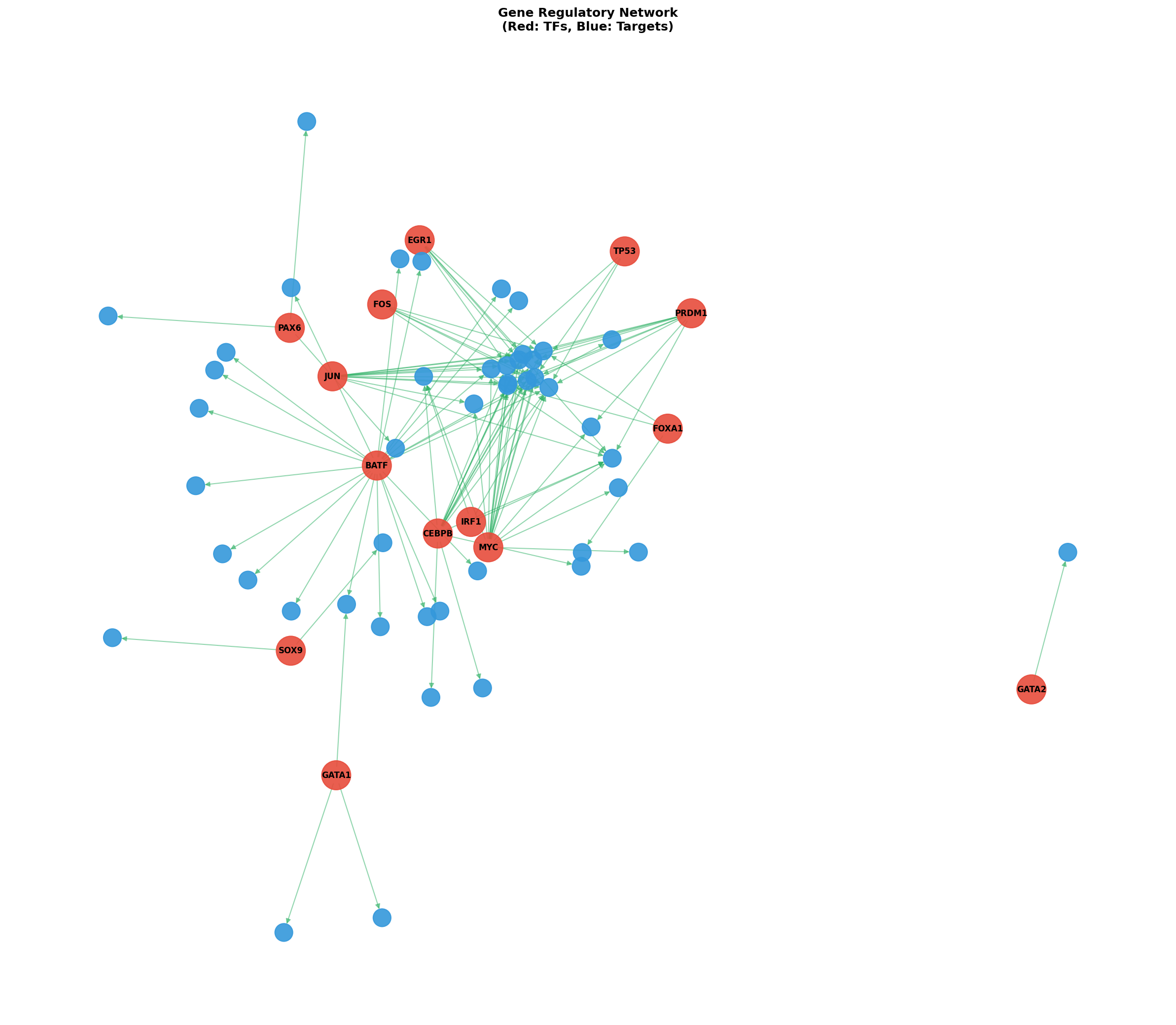 Exploratory TF-Target Association Network