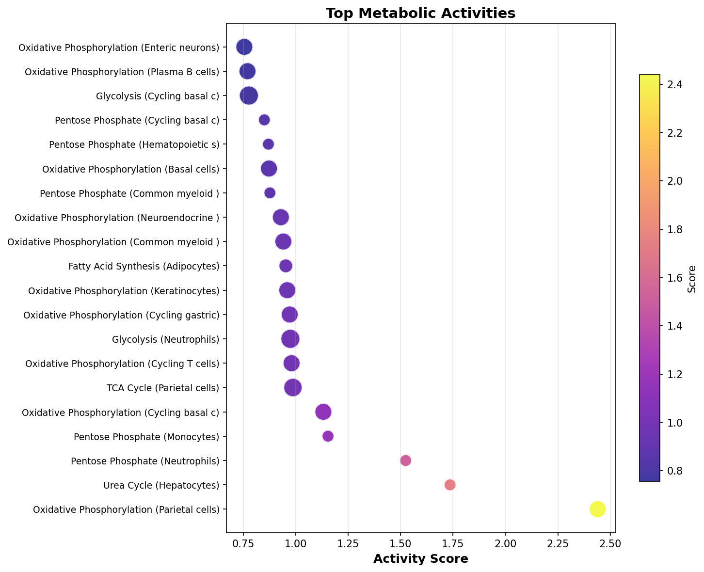 Top Metabolic Activities