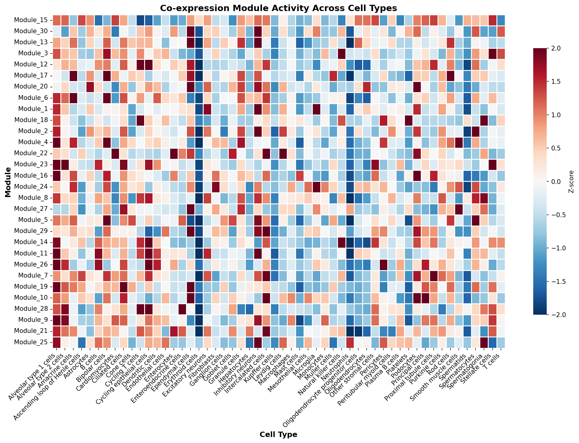 Module-Cell Type Association