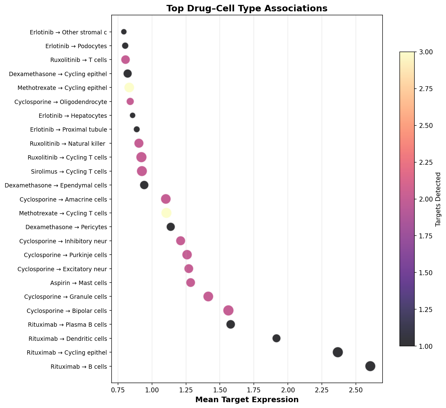 Top Drug–Cell Type Associations