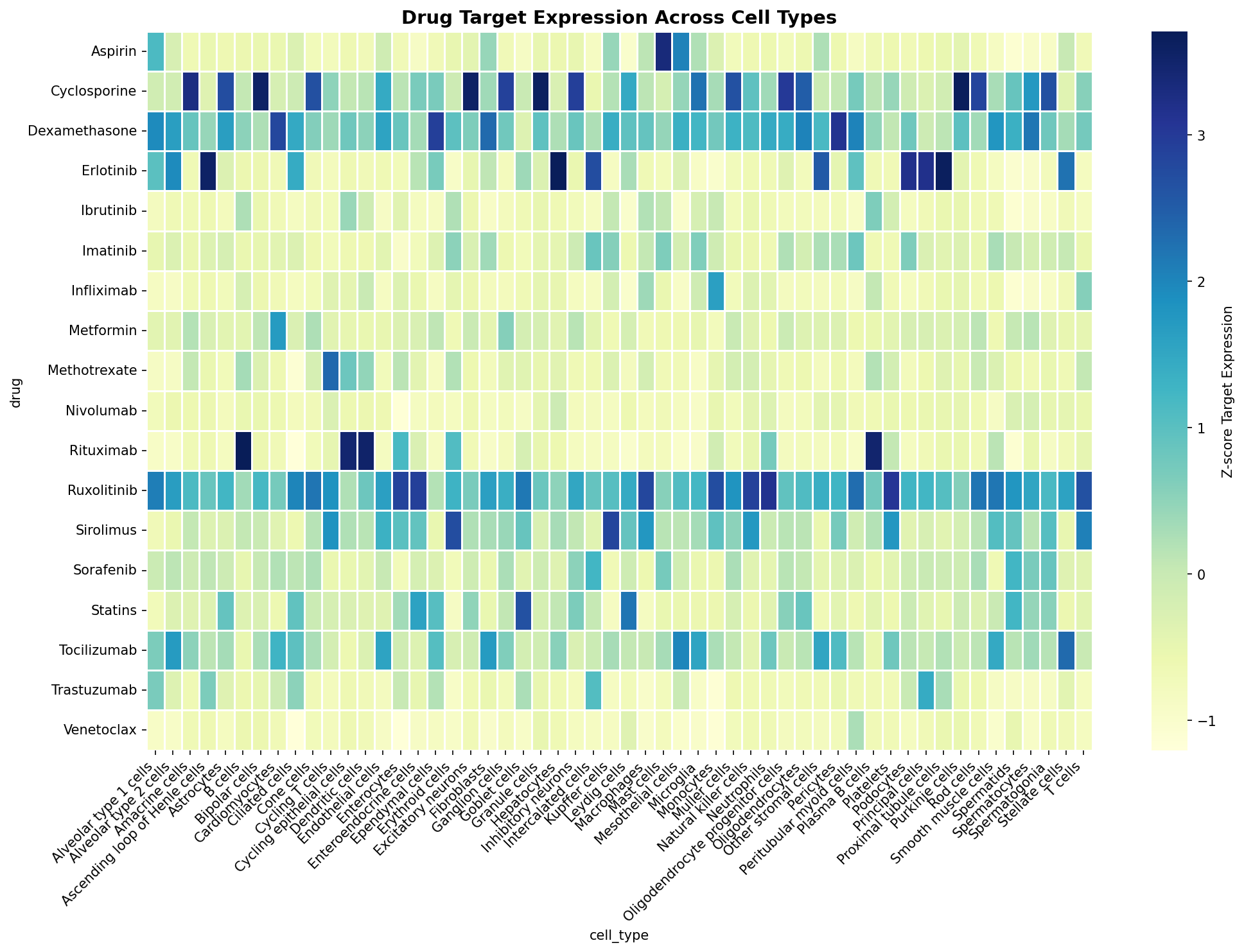 Drug Target Expression Heatmap