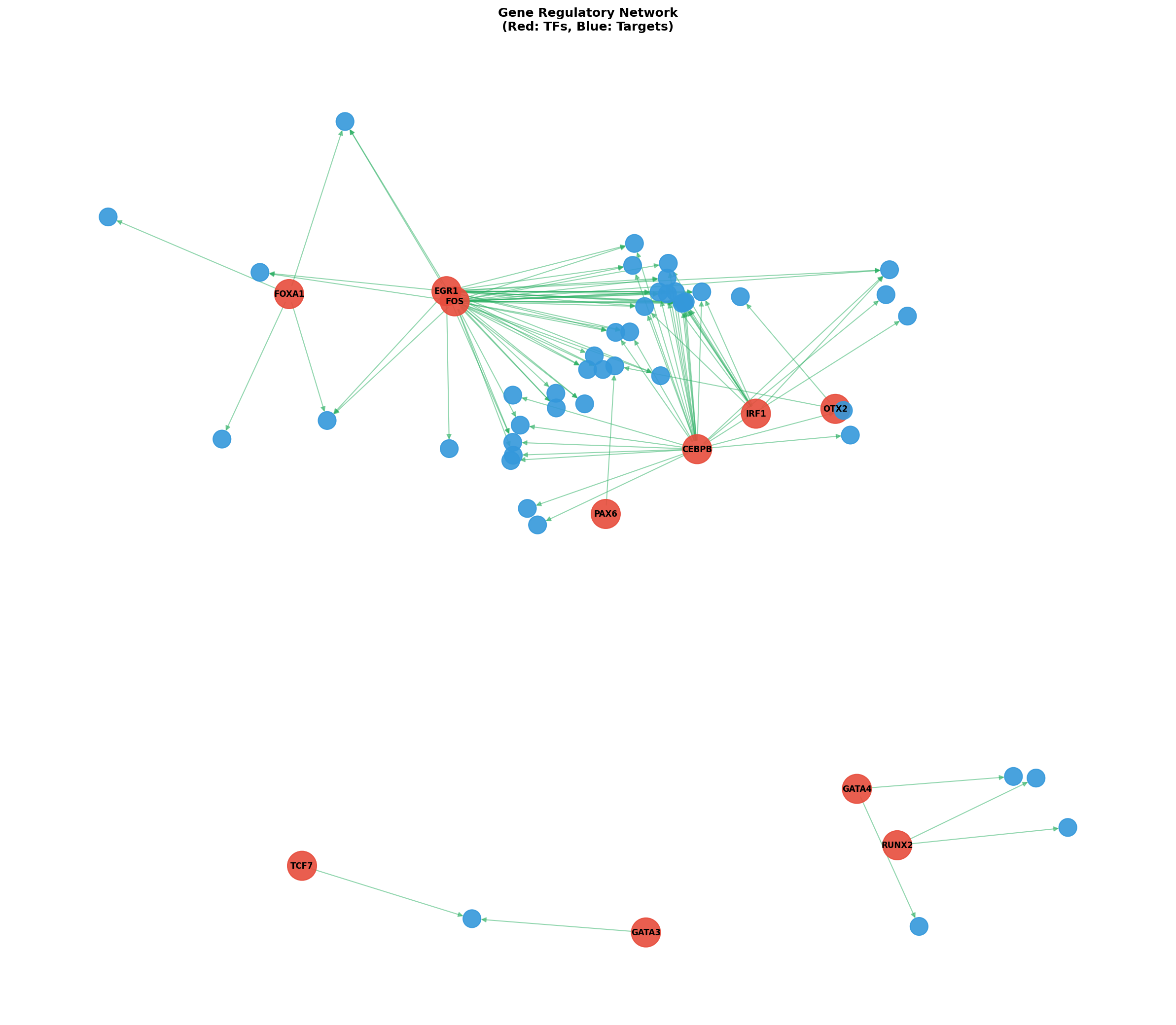 Exploratory TF-Target Association Network