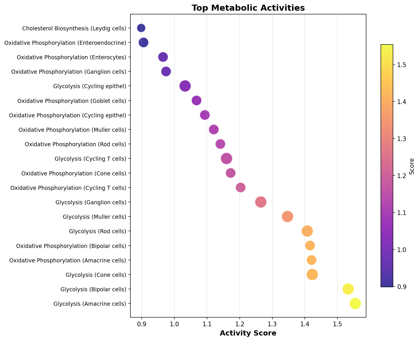 Top Metabolic Activities
