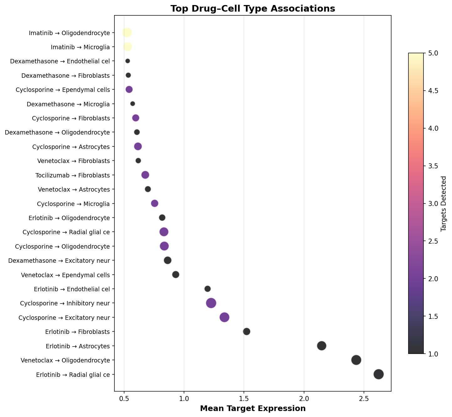 Top Drug–Cell Type Associations