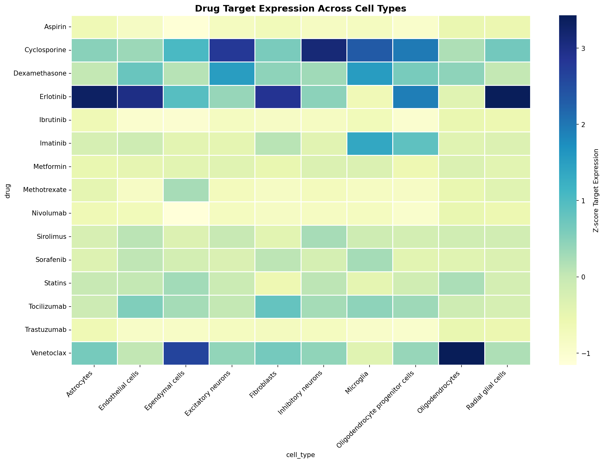 Drug Target Expression Heatmap