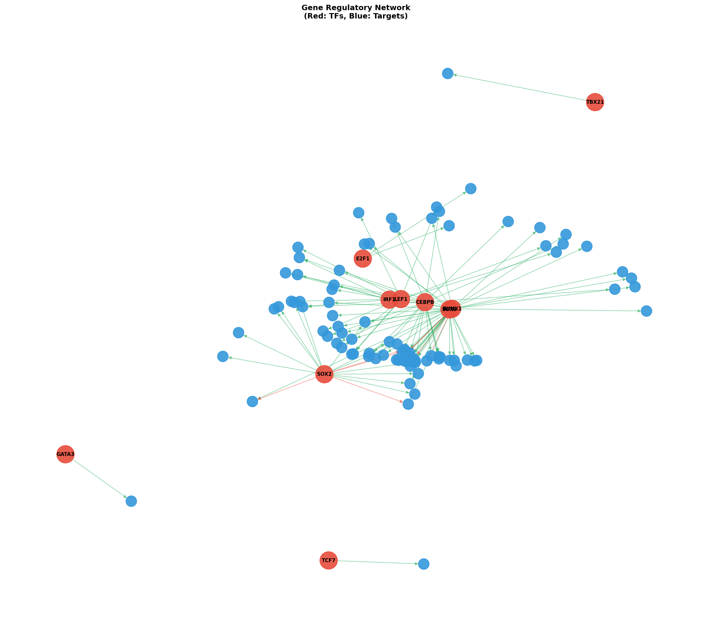 Exploratory TF-Target Association Network