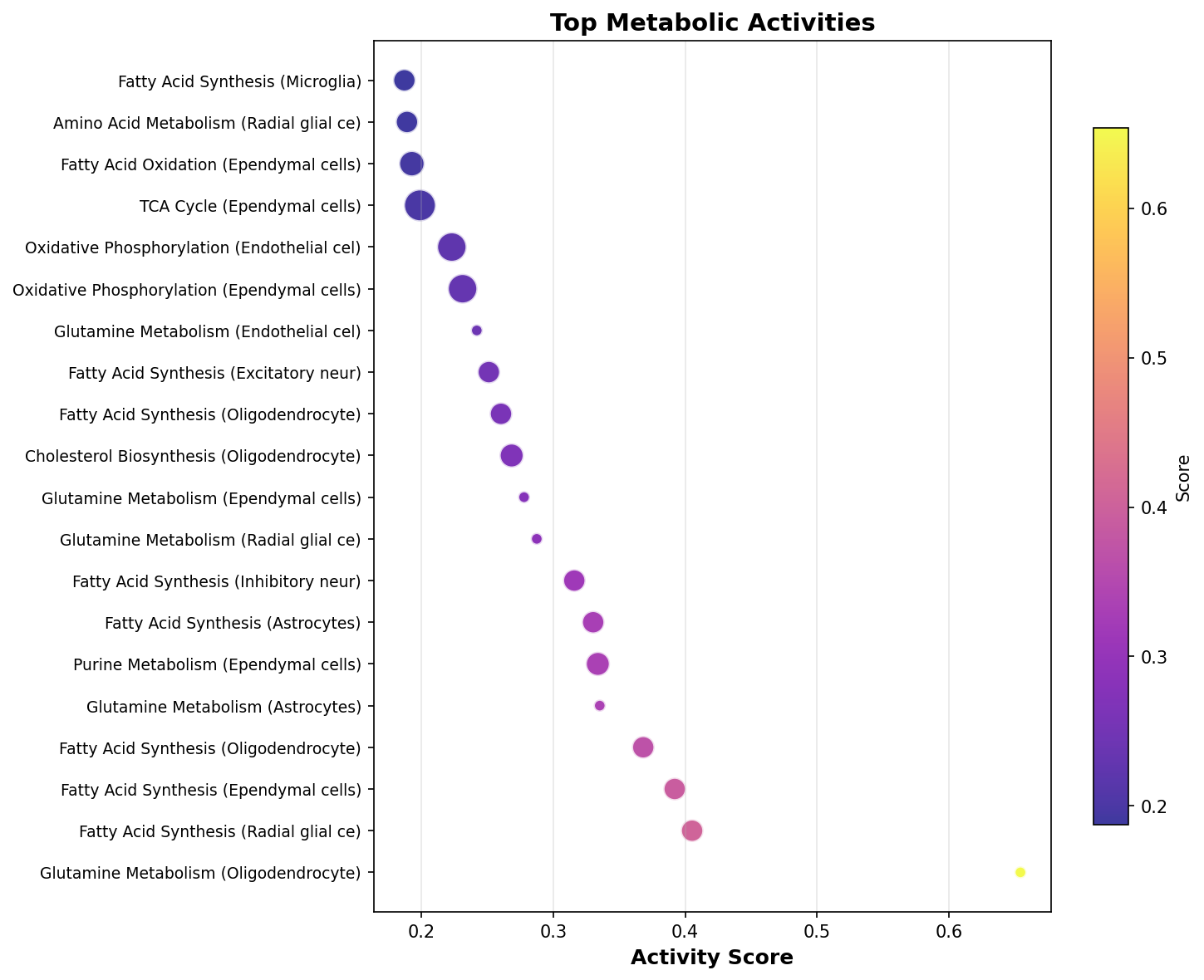 Top Metabolic Activities
