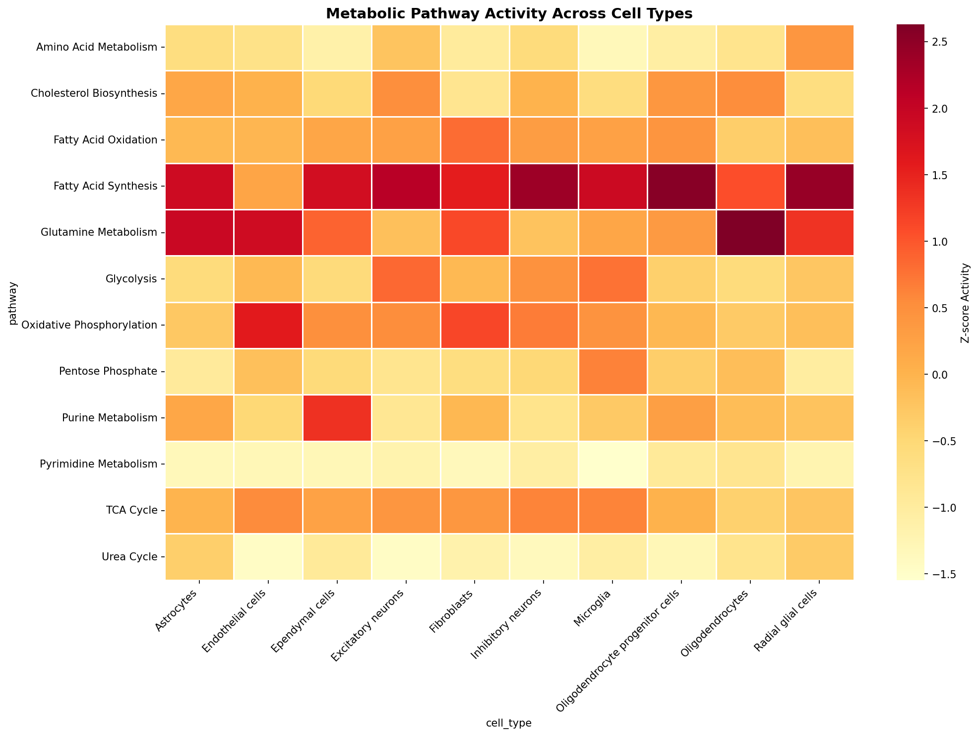 Metabolic Pathway Heatmap