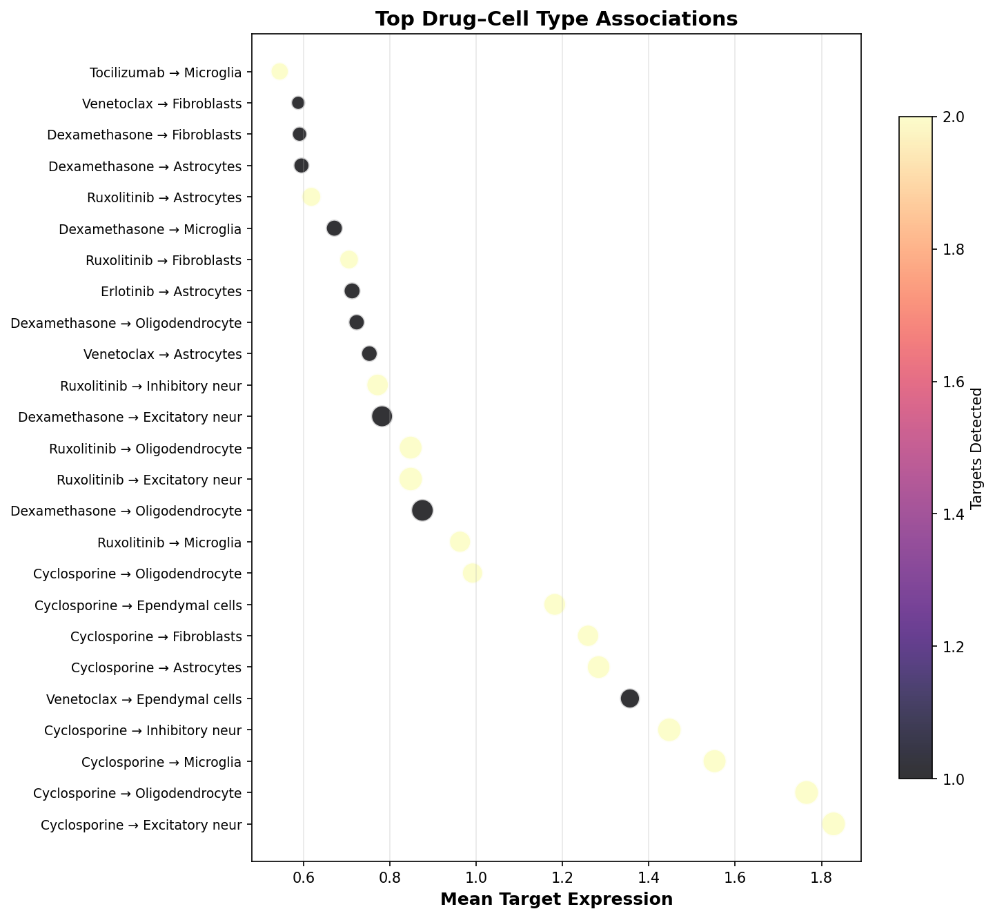 Top Drug–Cell Type Associations
