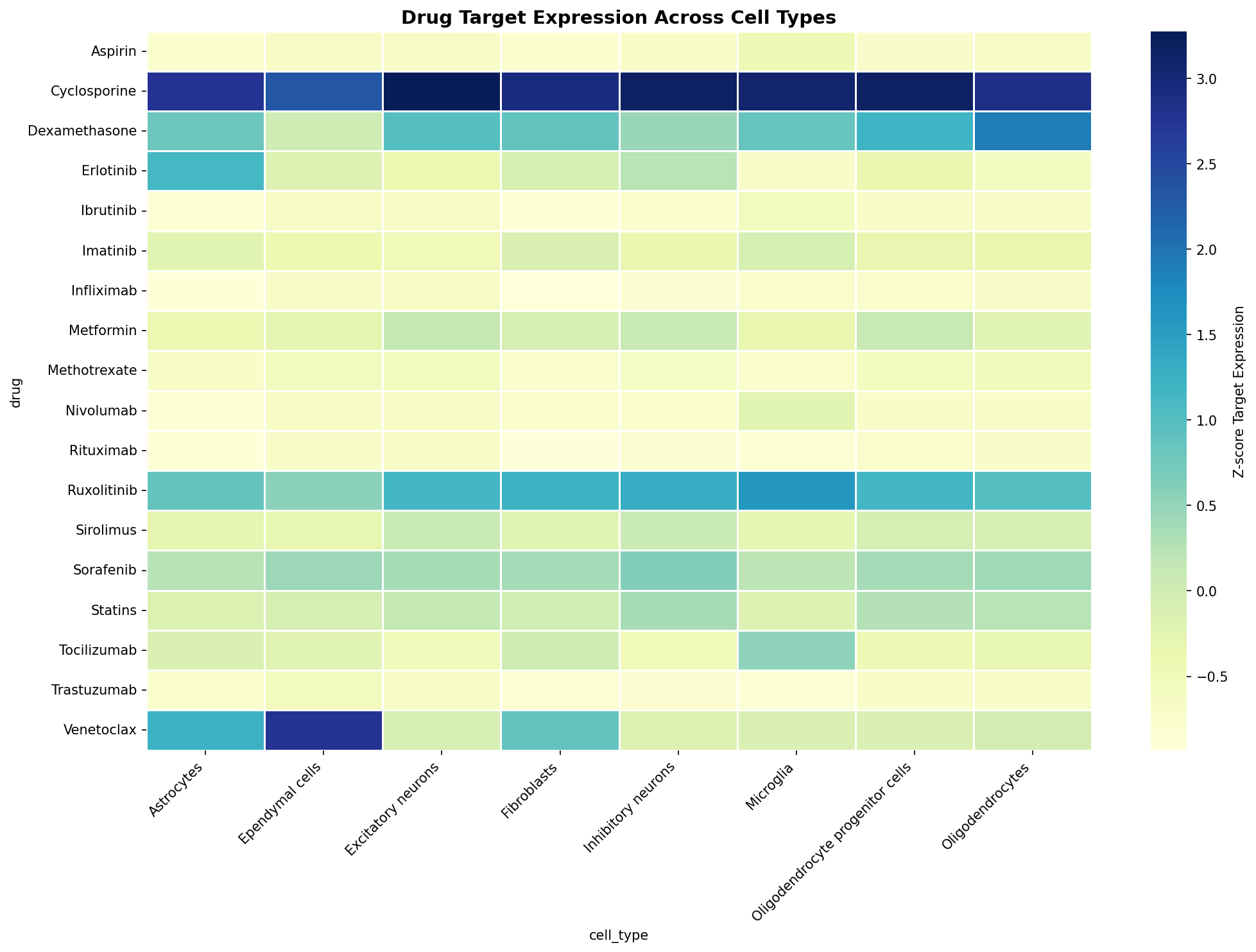 Drug Target Expression Heatmap