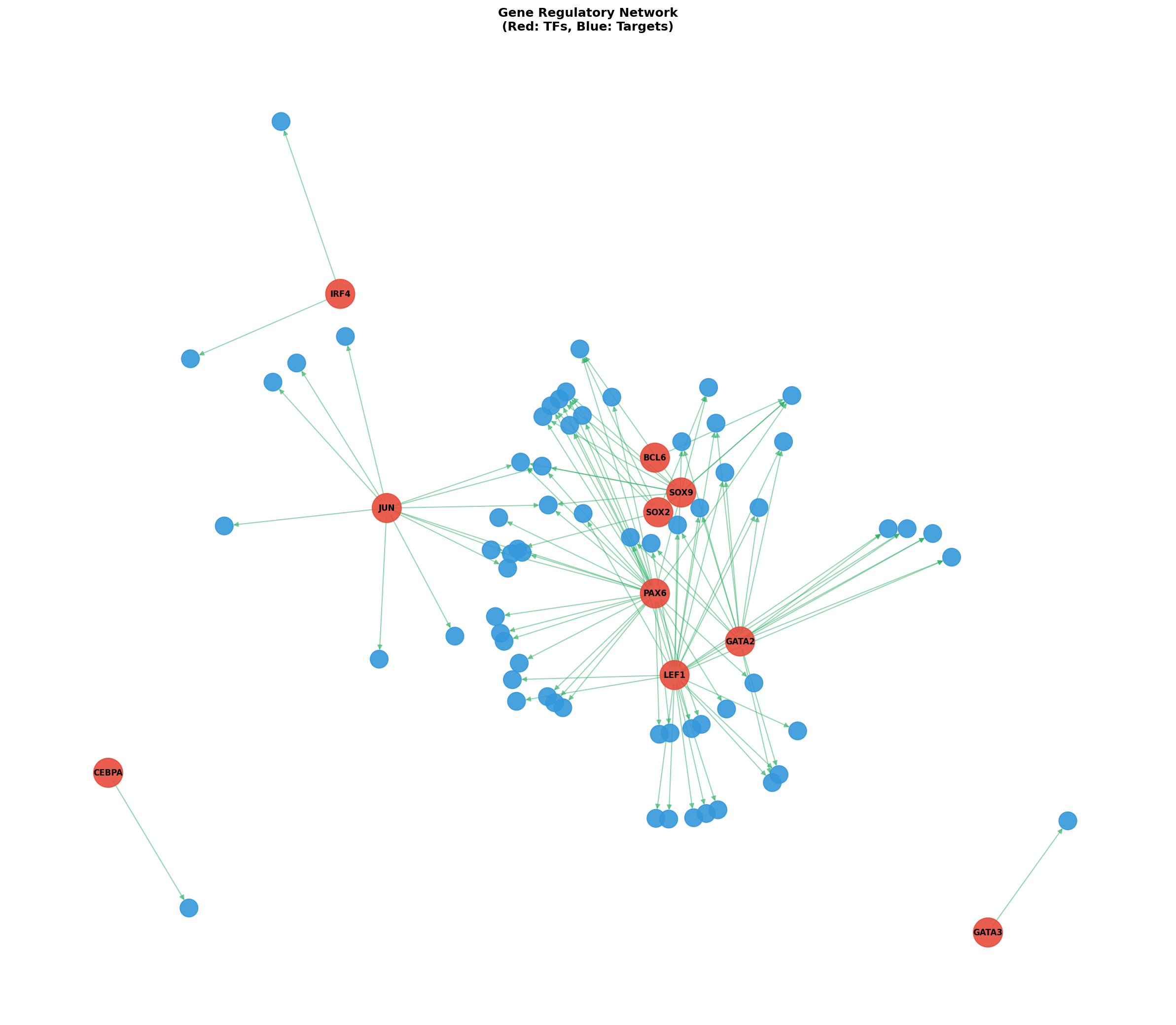 Exploratory TF-Target Association Network