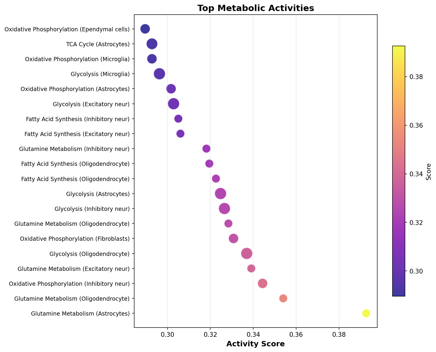Top Metabolic Activities