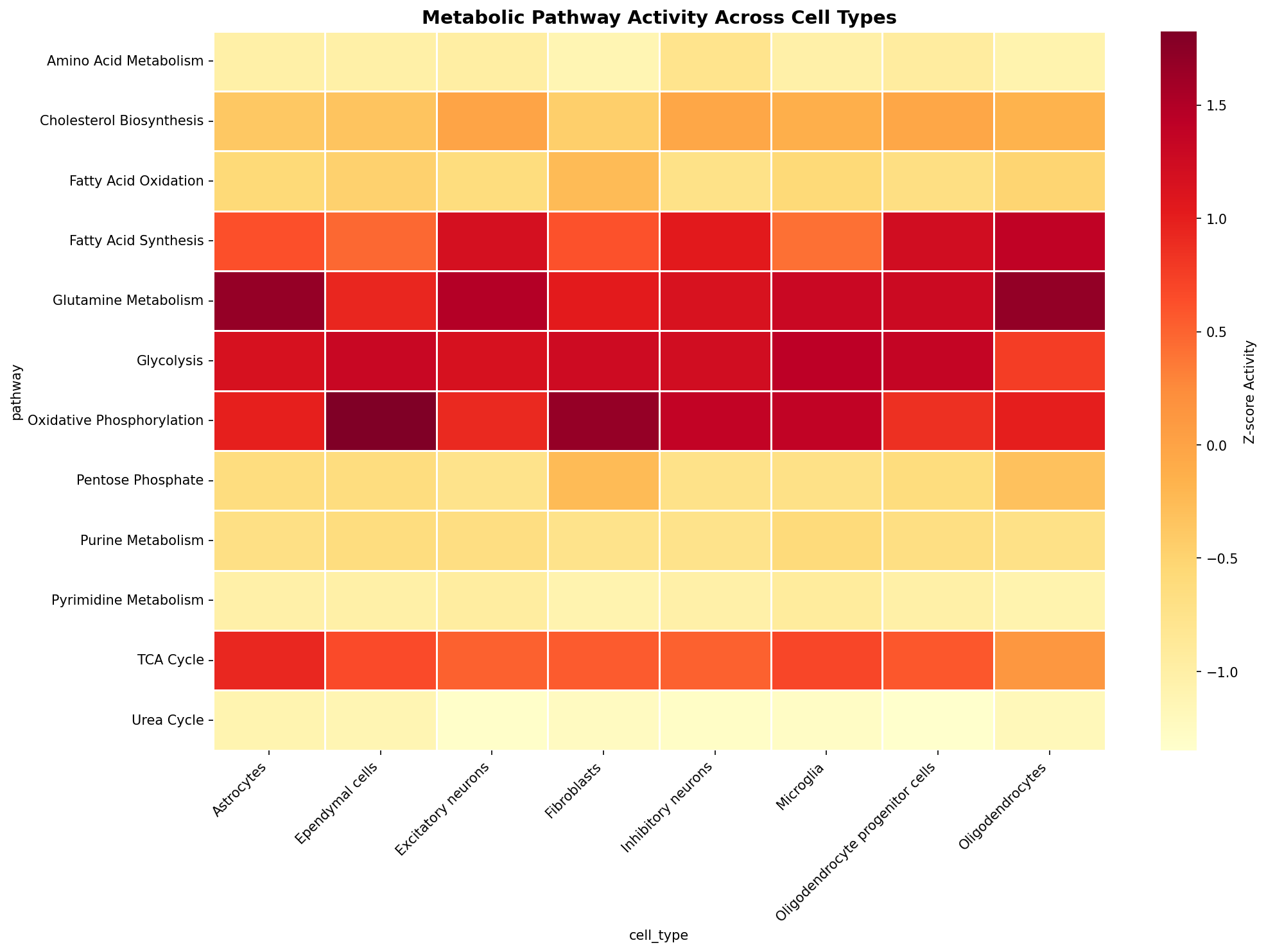 Metabolic Pathway Heatmap