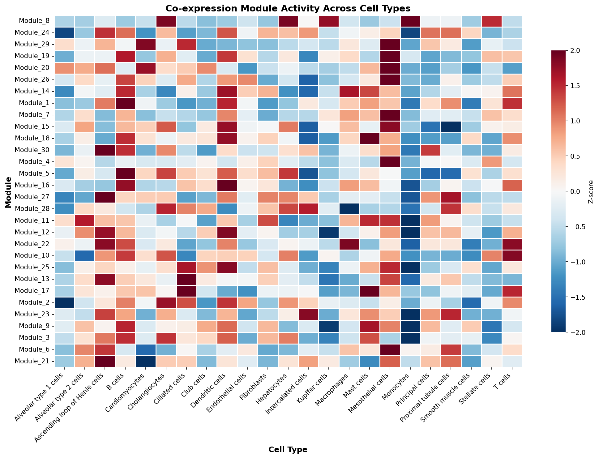 Module-Cell Type Association
