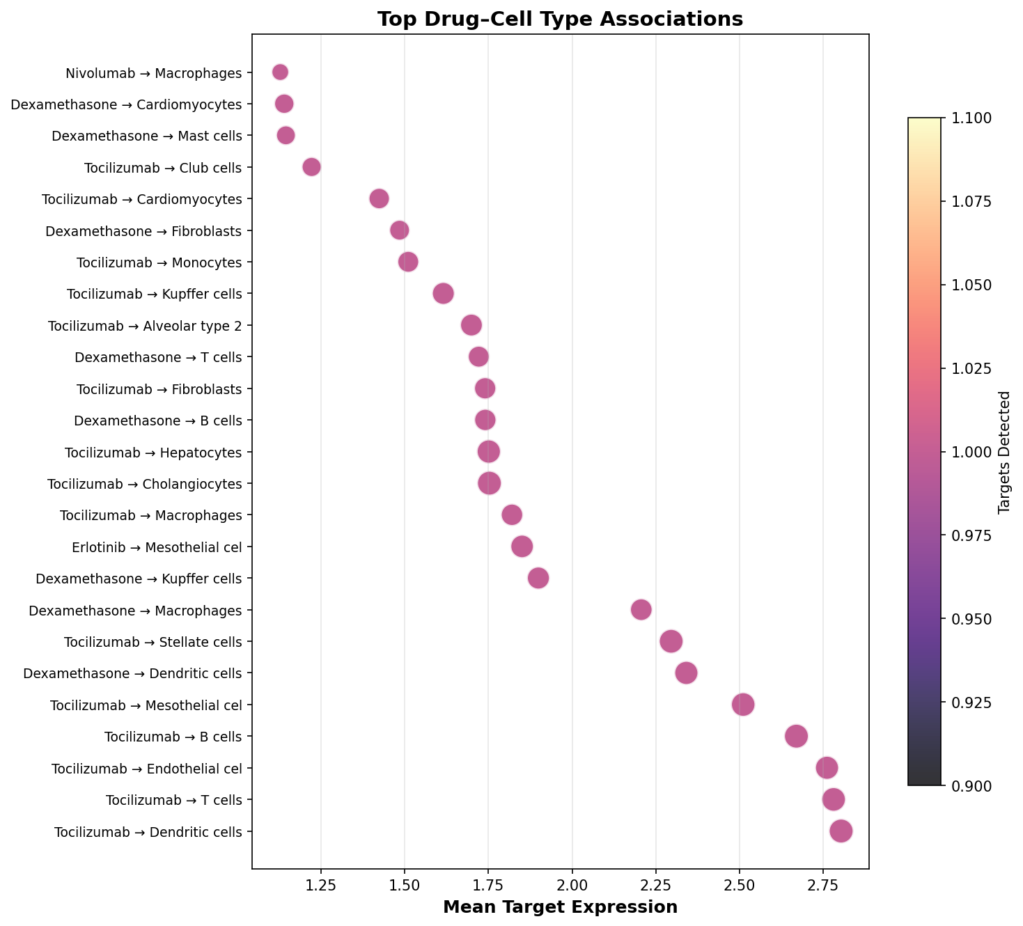 Top Drug–Cell Type Associations