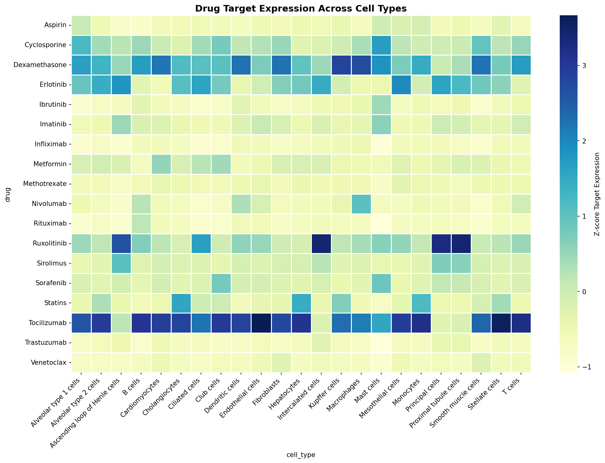 Drug Target Expression Heatmap