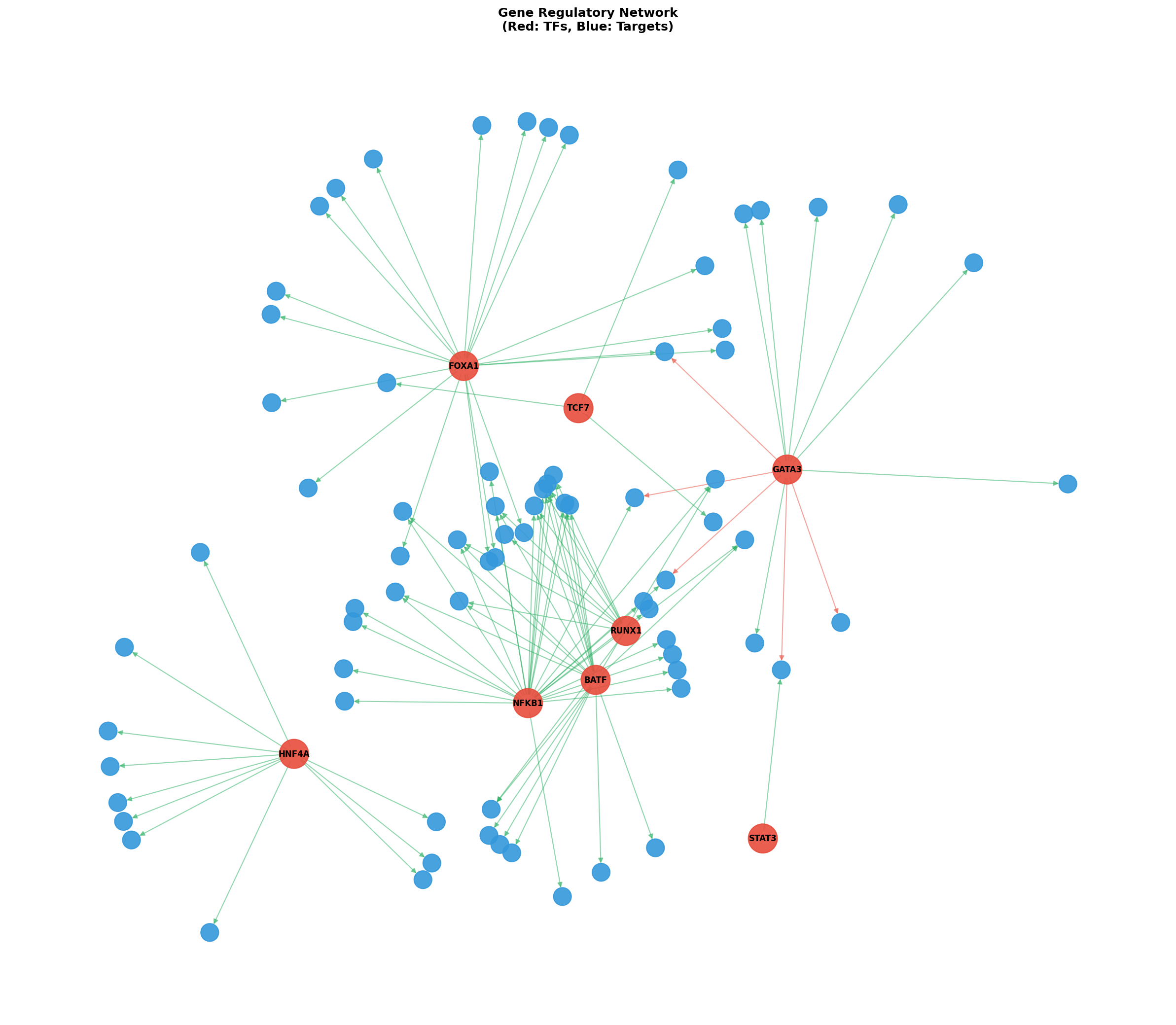Exploratory TF-Target Association Network