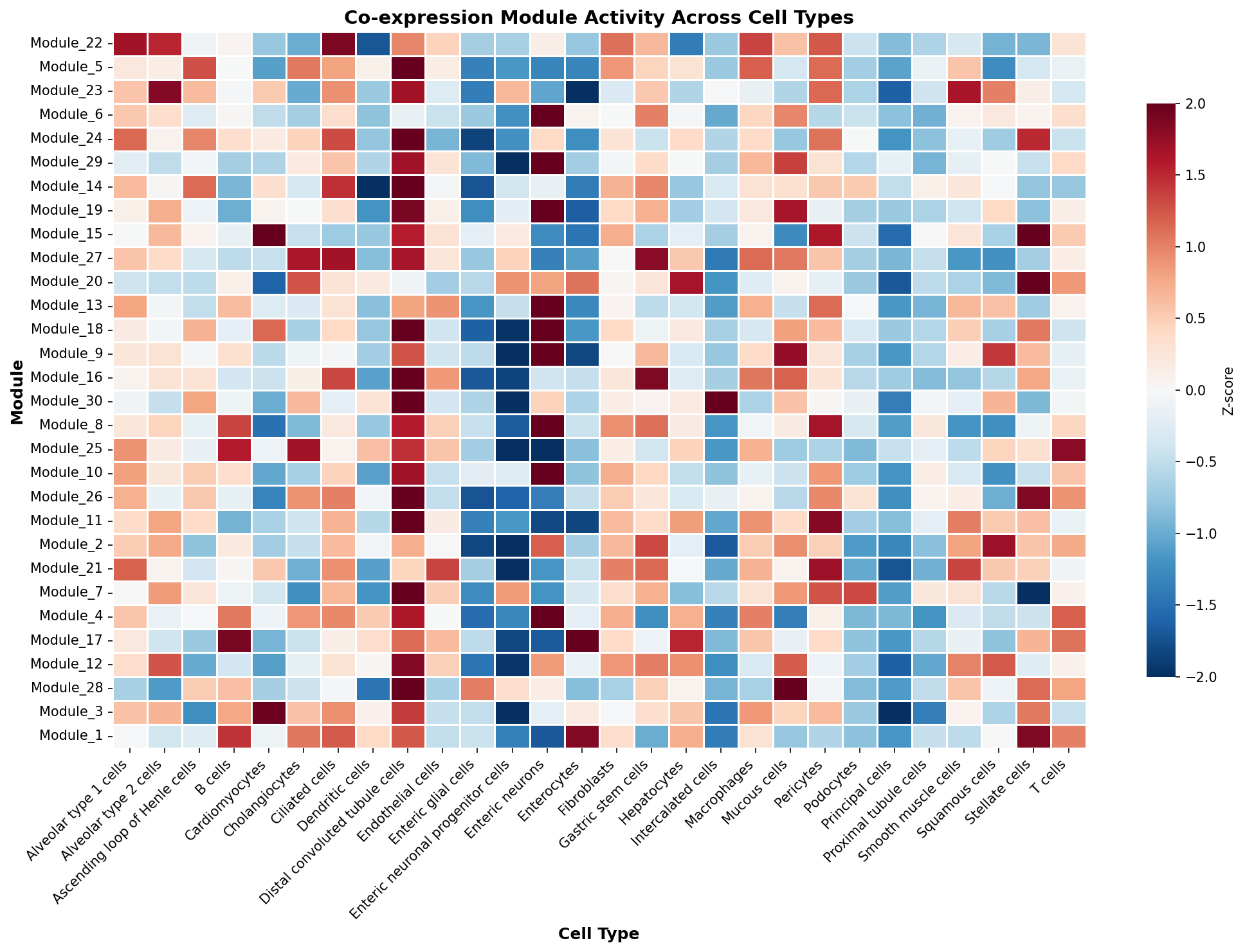 Module-Cell Type Association