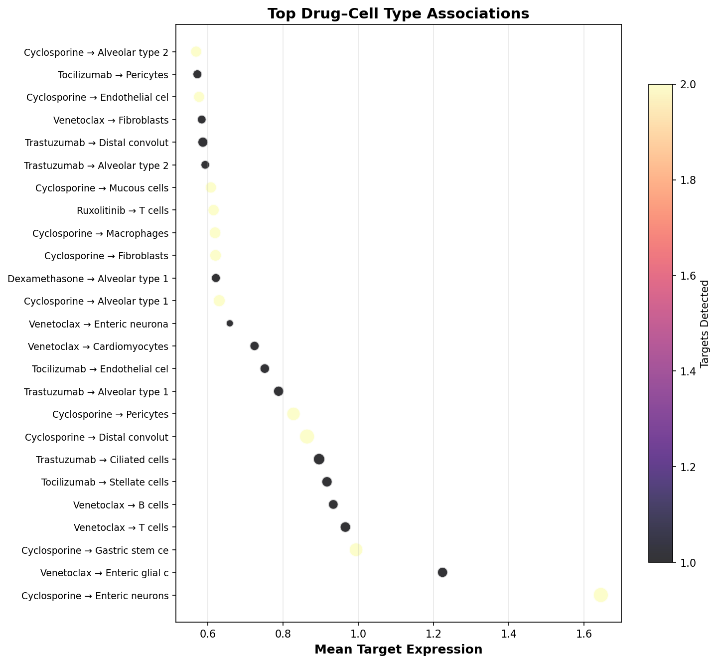 Top Drug–Cell Type Associations
