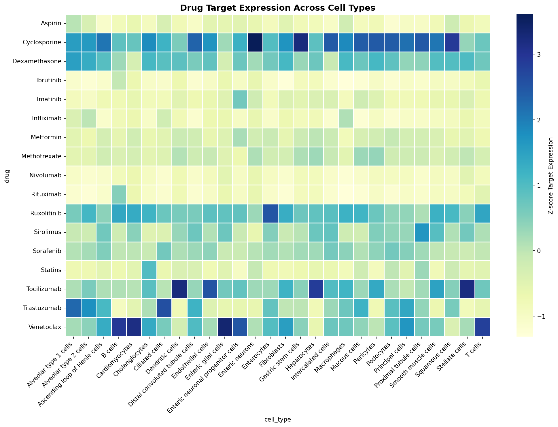 Drug Target Expression Heatmap