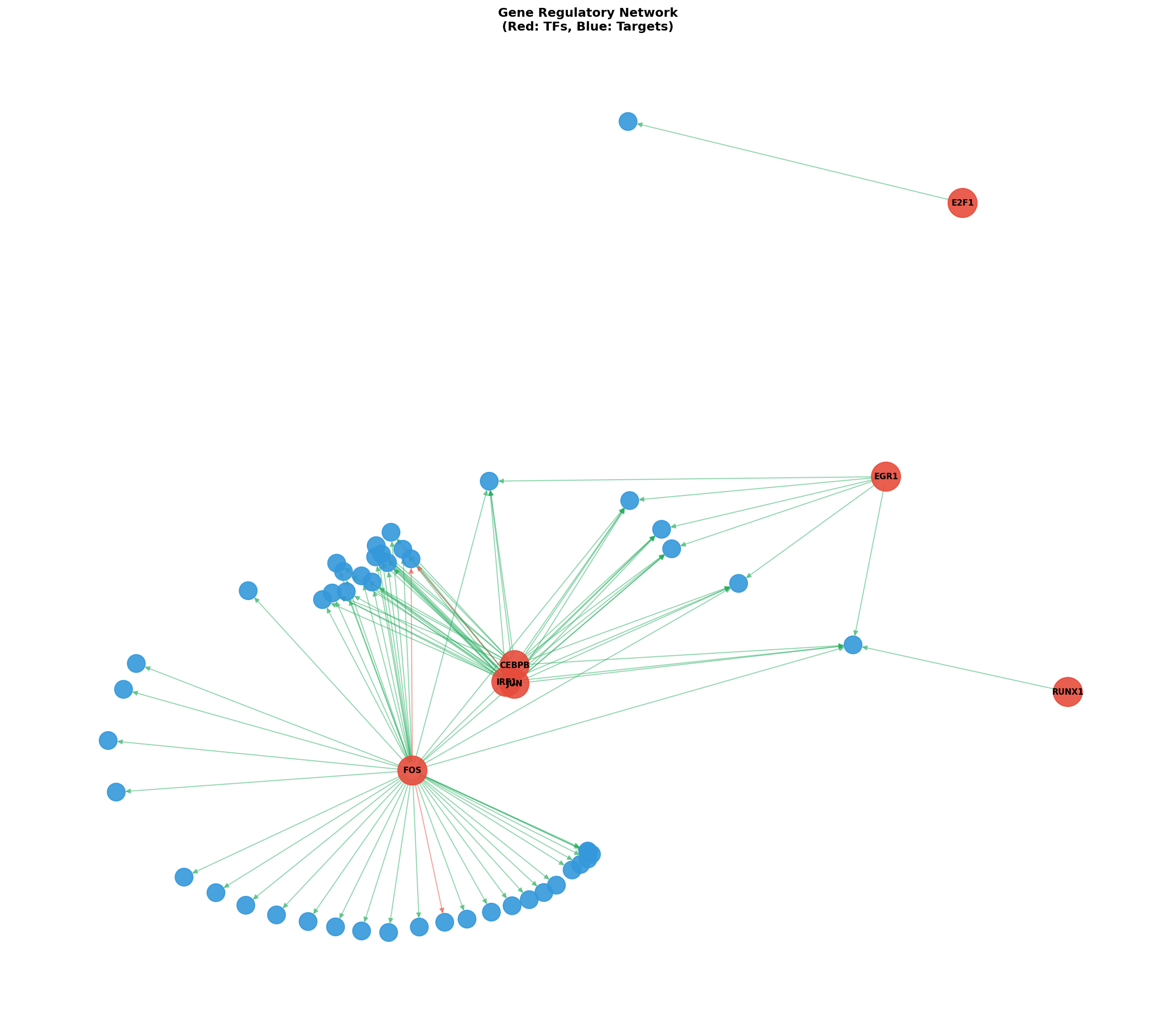 Exploratory TF-Target Association Network