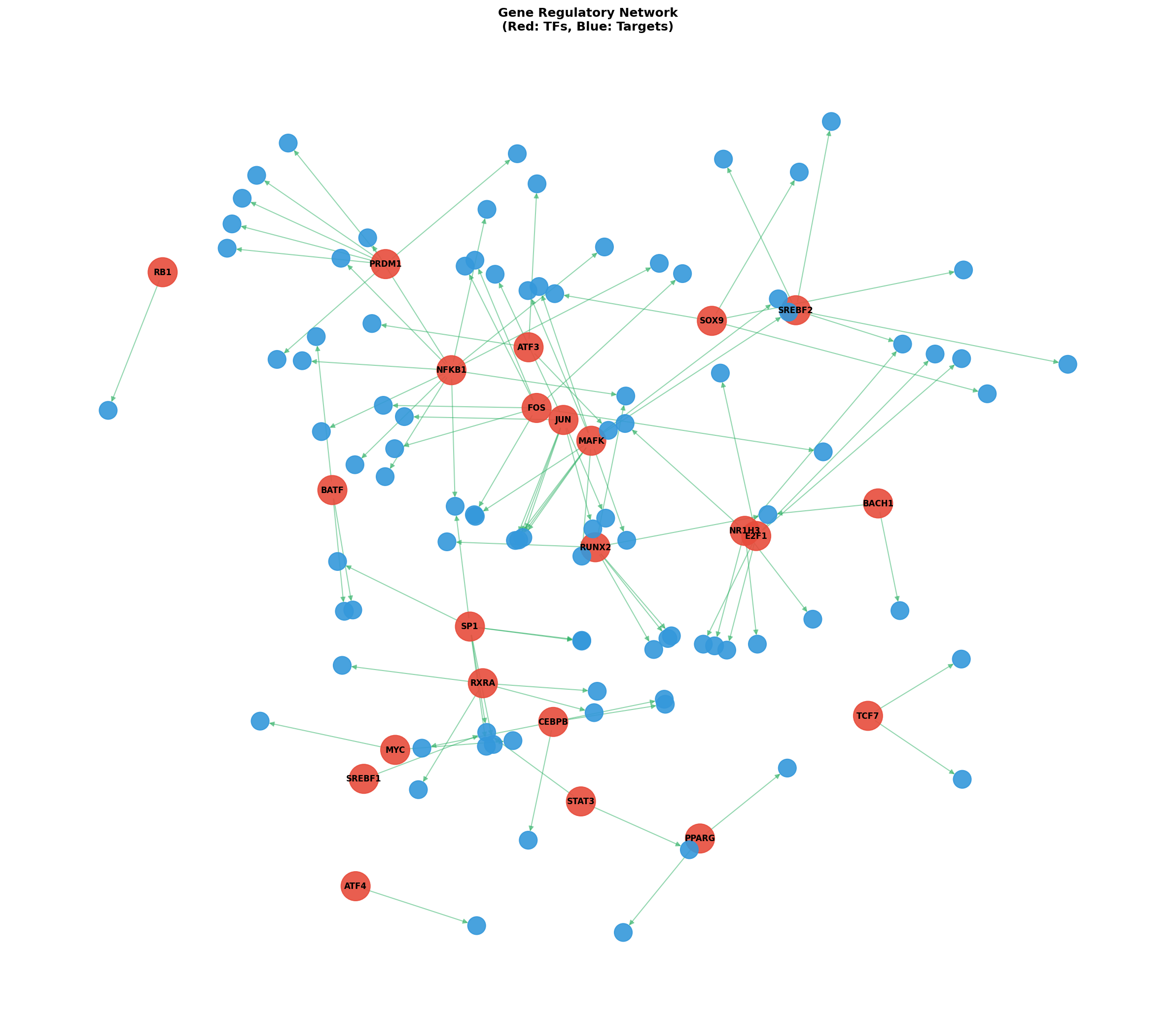 Exploratory TF-Target Association Network