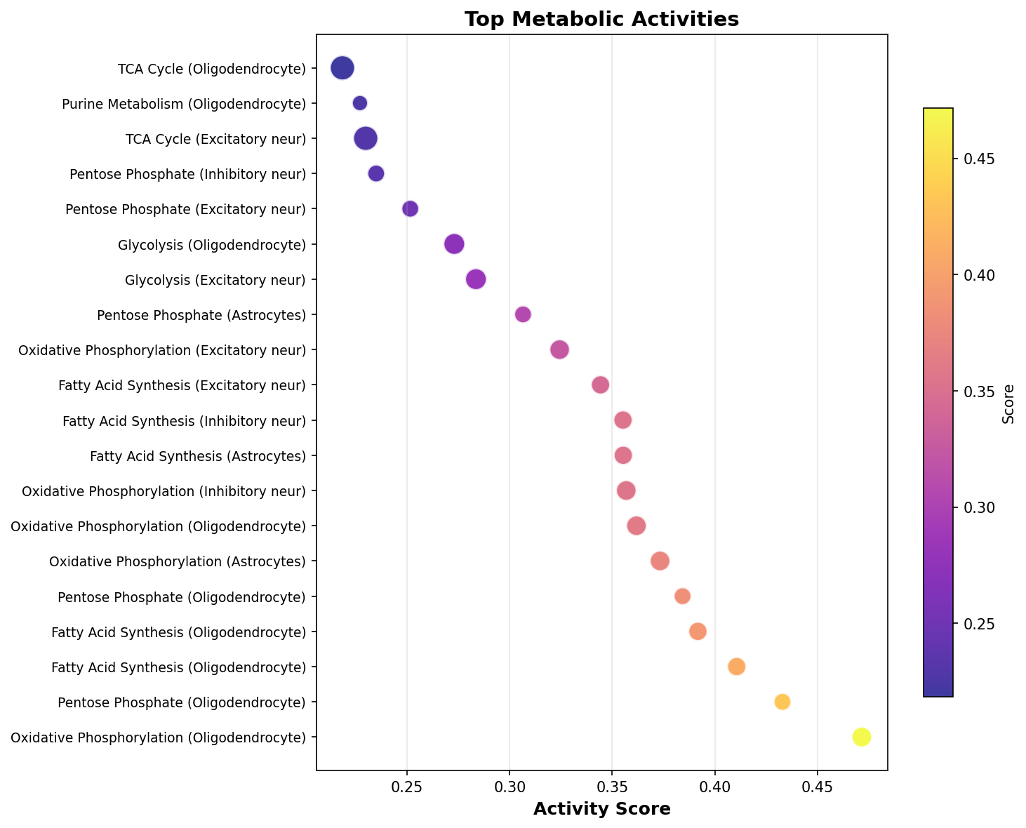 Top Metabolic Activities