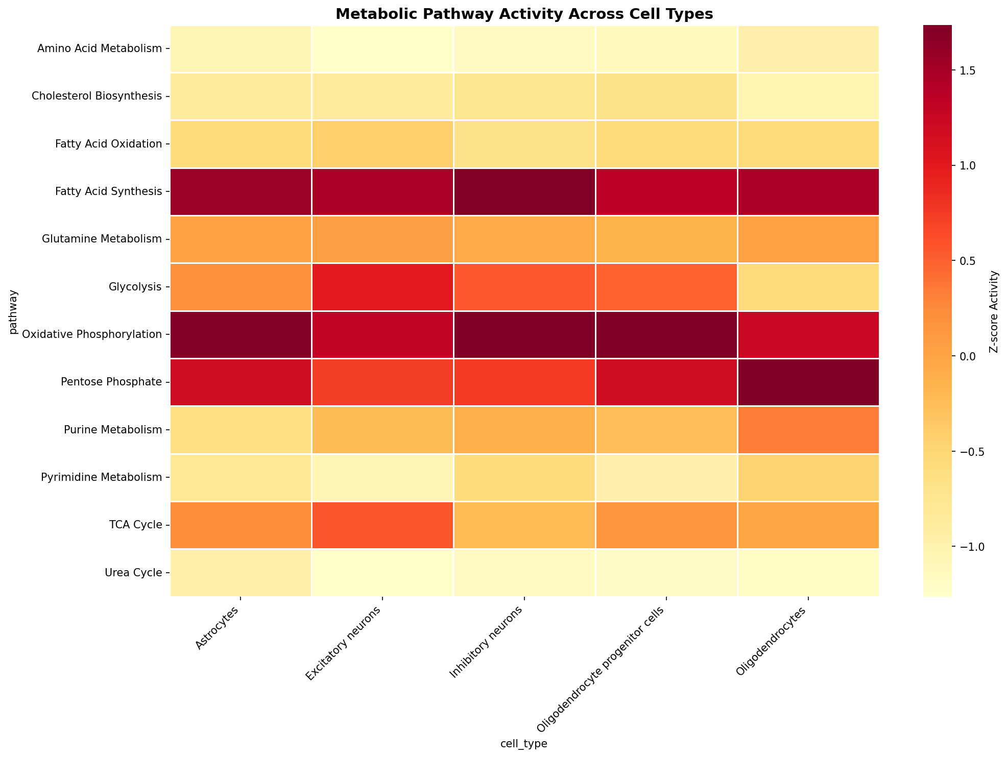 Metabolic Pathway Heatmap