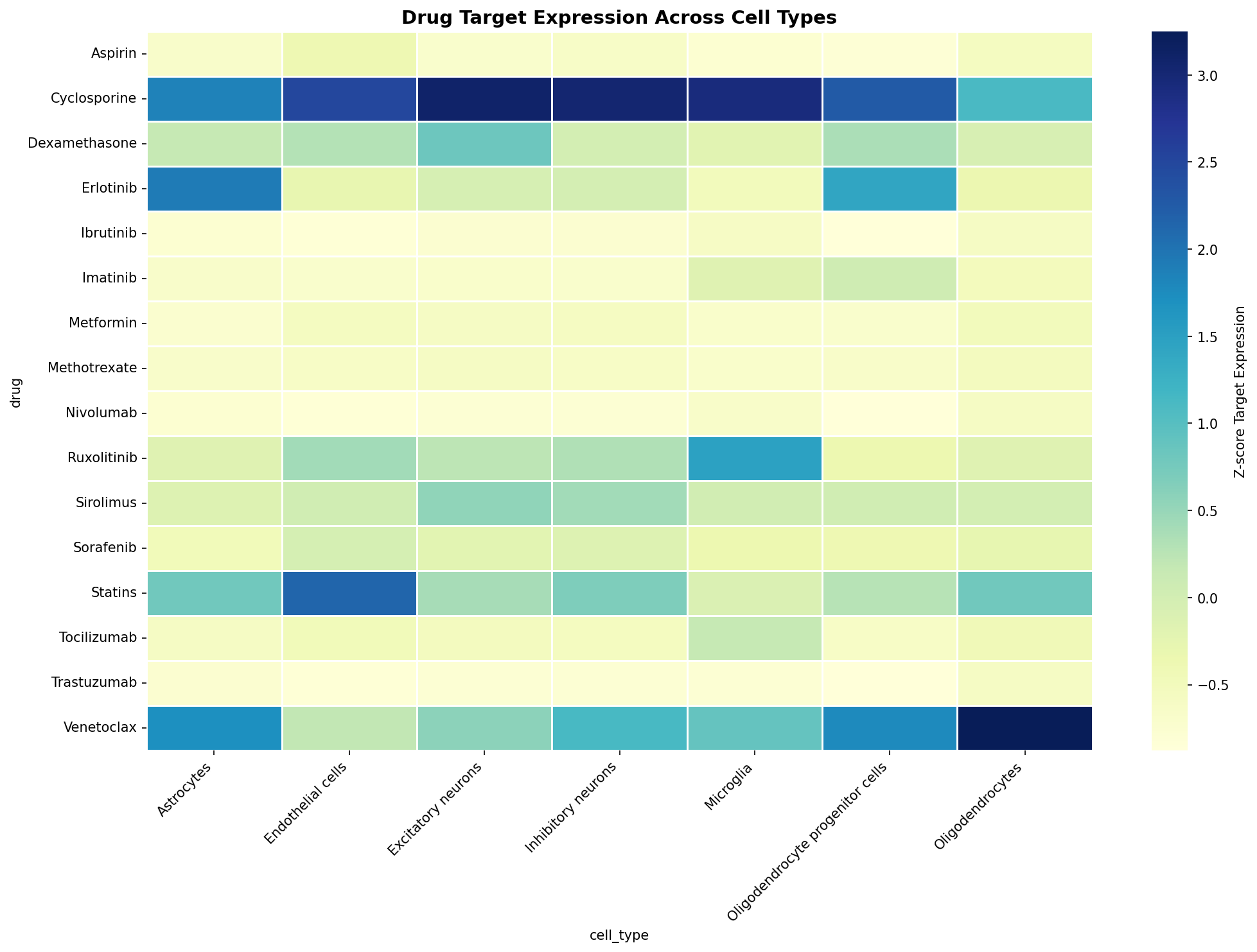 Drug Target Expression Heatmap