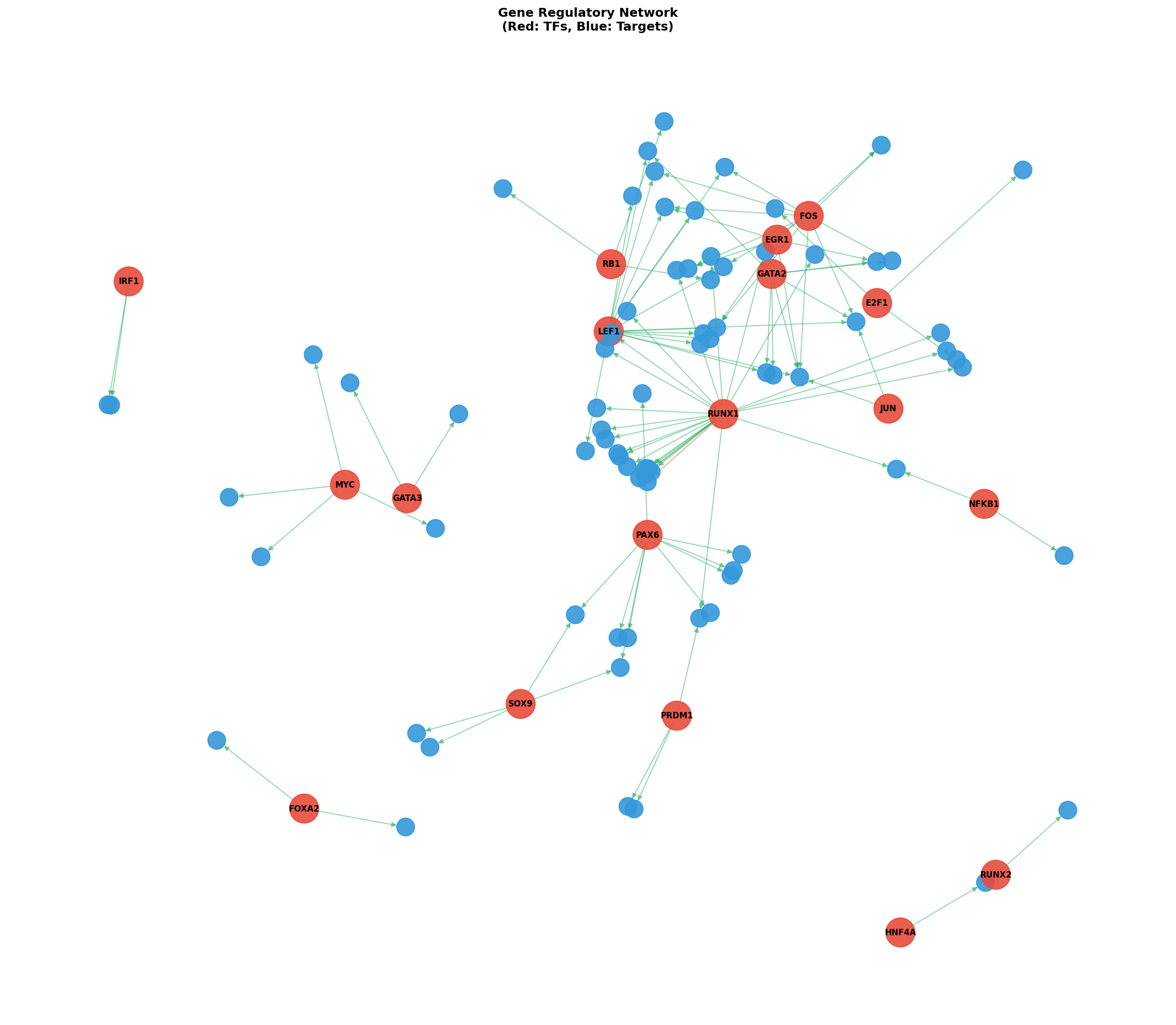 Exploratory TF-Target Association Network