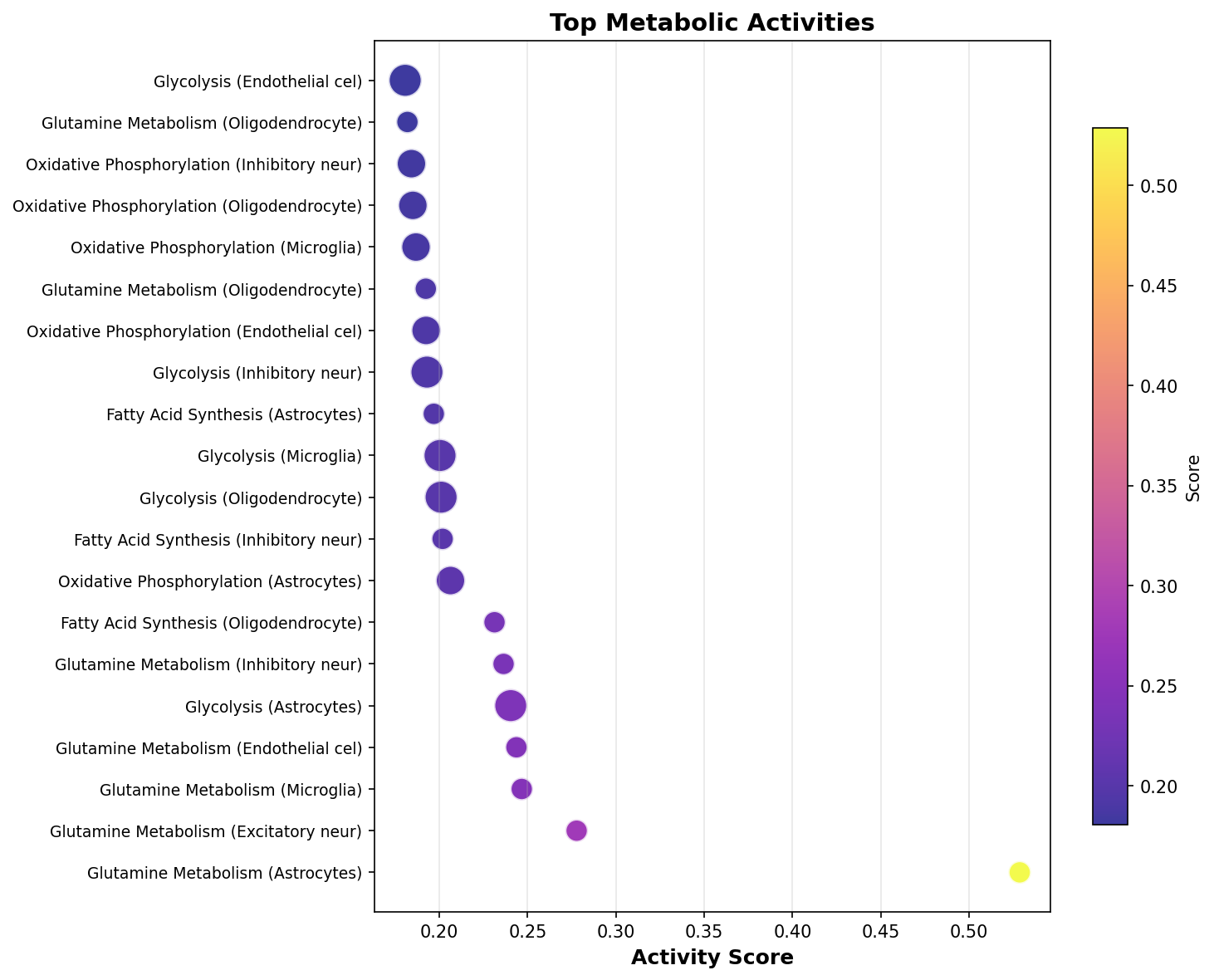 Top Metabolic Activities