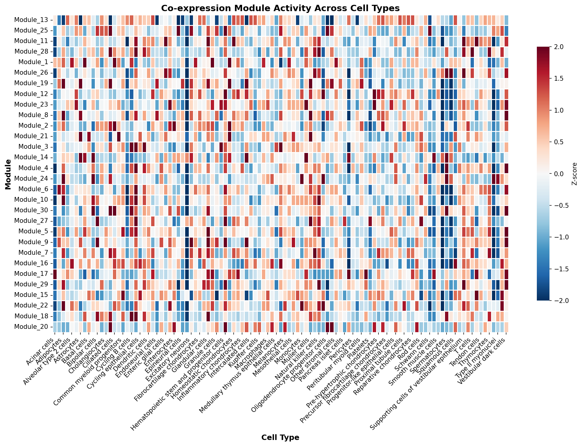 Module-Cell Type Association