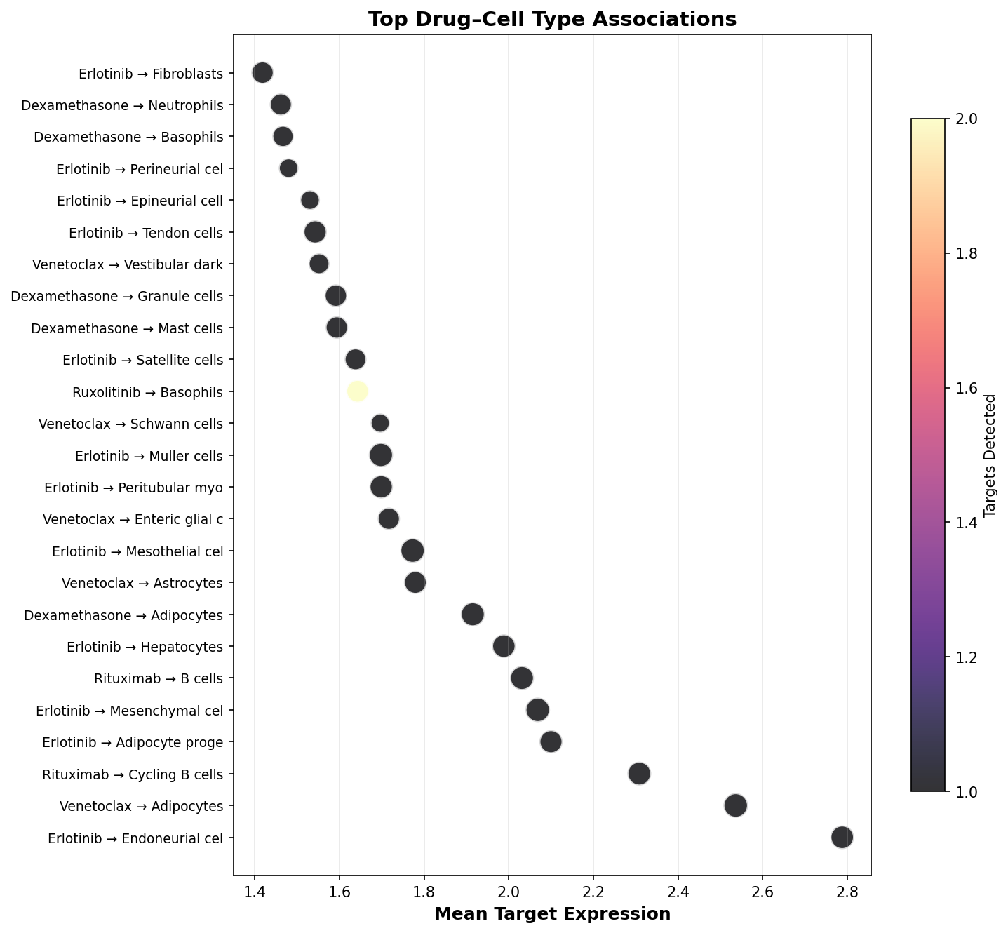 Top Drug–Cell Type Associations