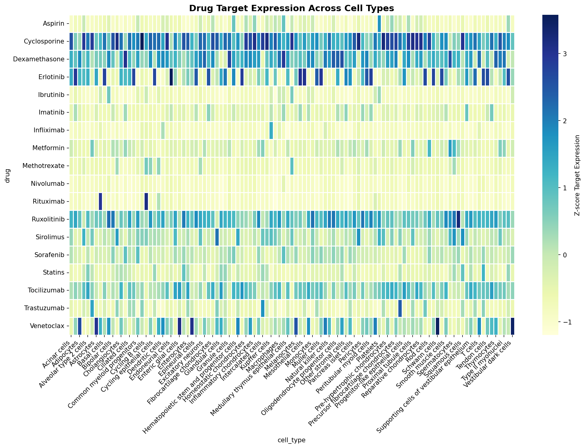 Drug Target Expression Heatmap