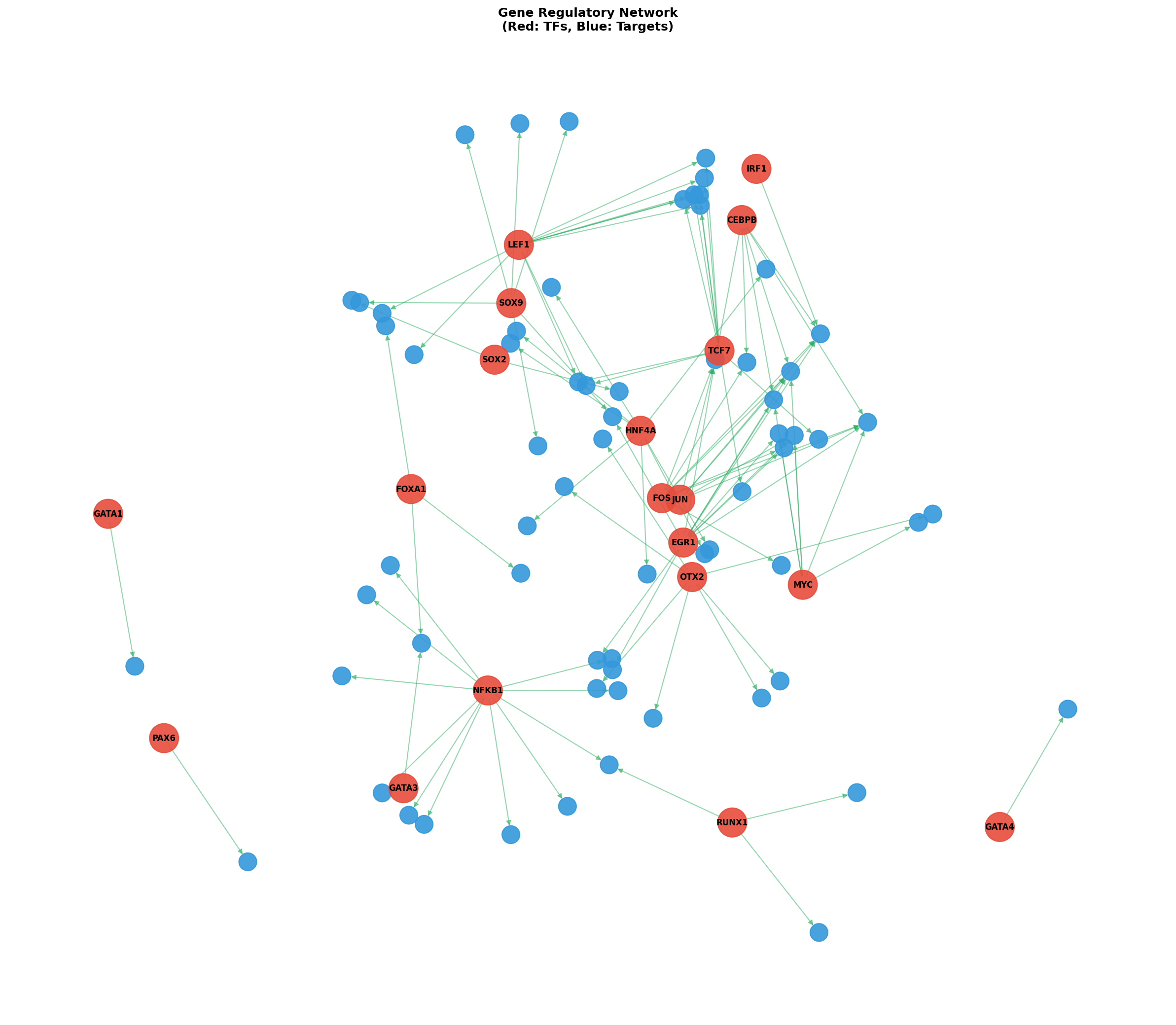 Exploratory TF-Target Association Network