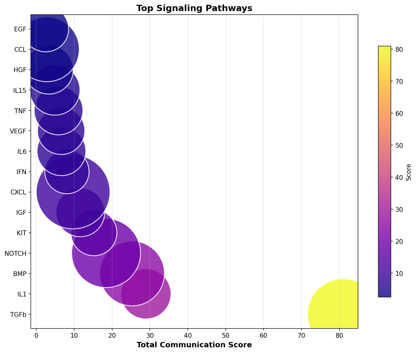 Signaling Pathway Activity