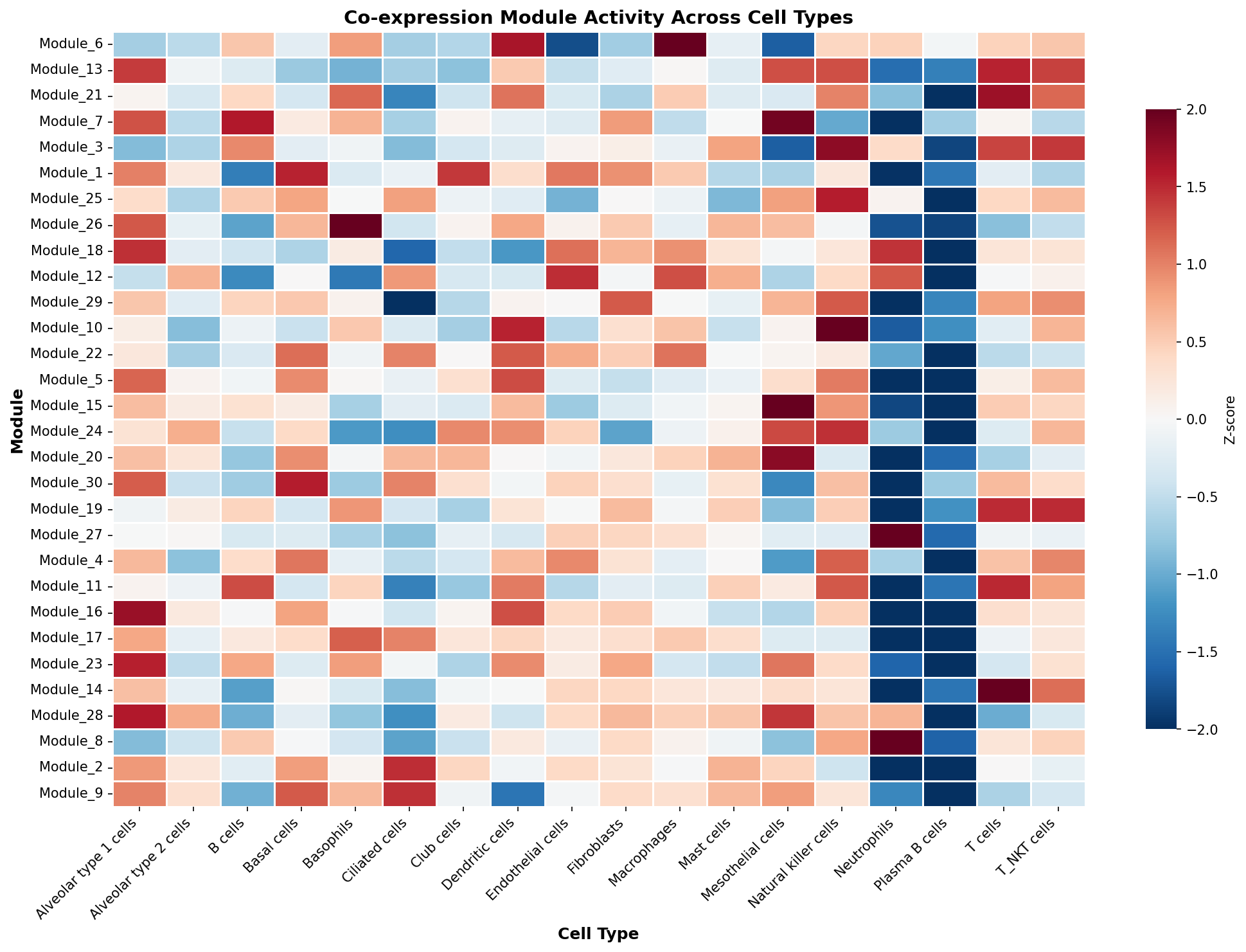 Module-Cell Type Association
