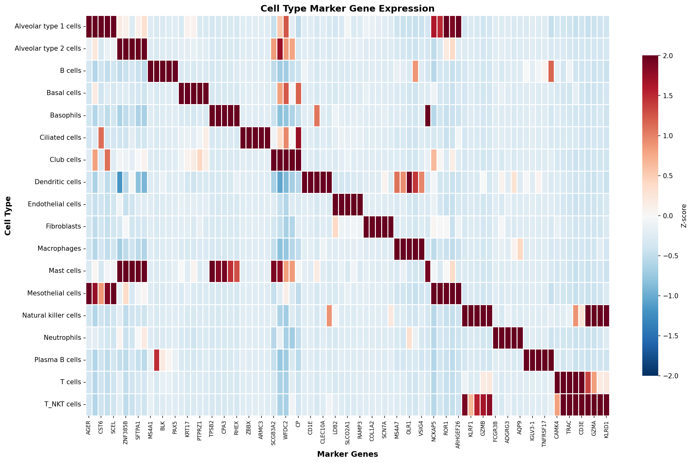 Marker Gene Heatmap