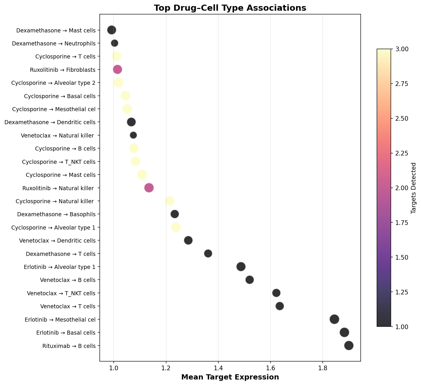 Top Drug–Cell Type Associations