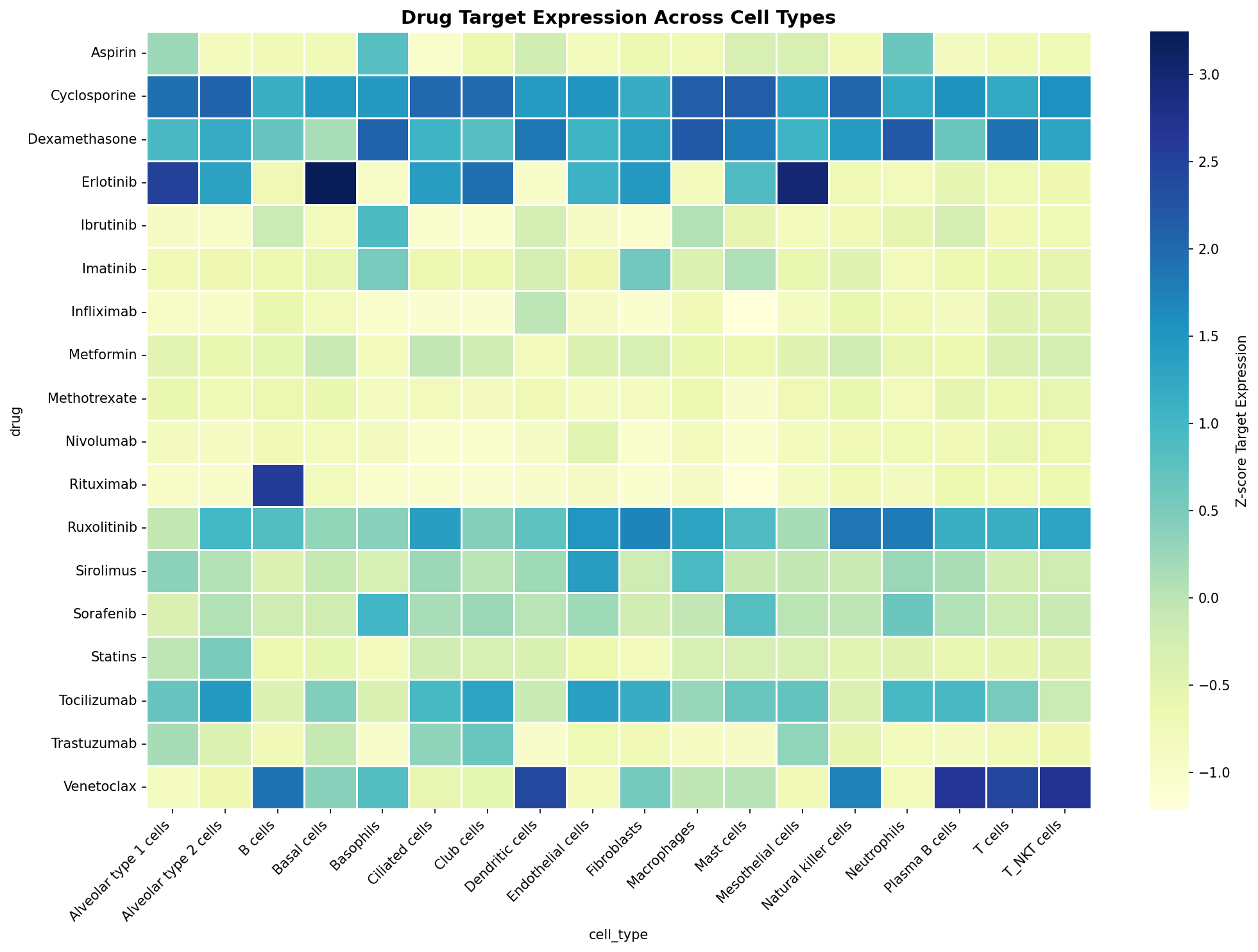 Drug Target Expression Heatmap