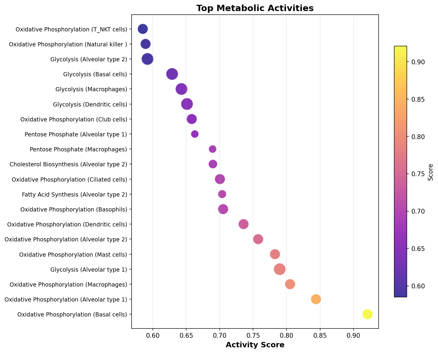 Top Metabolic Activities