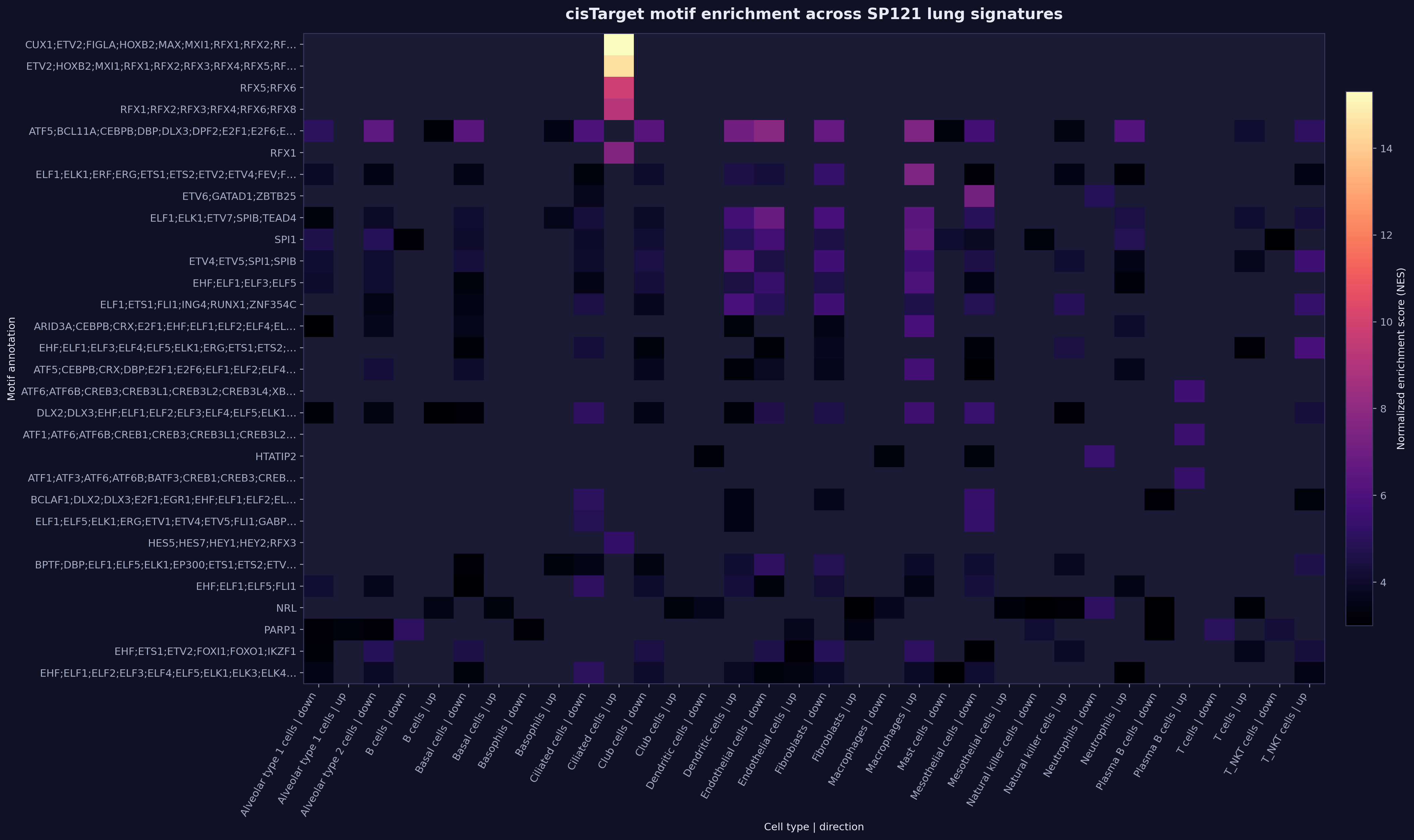 TF Motif Enrichment Heatmap