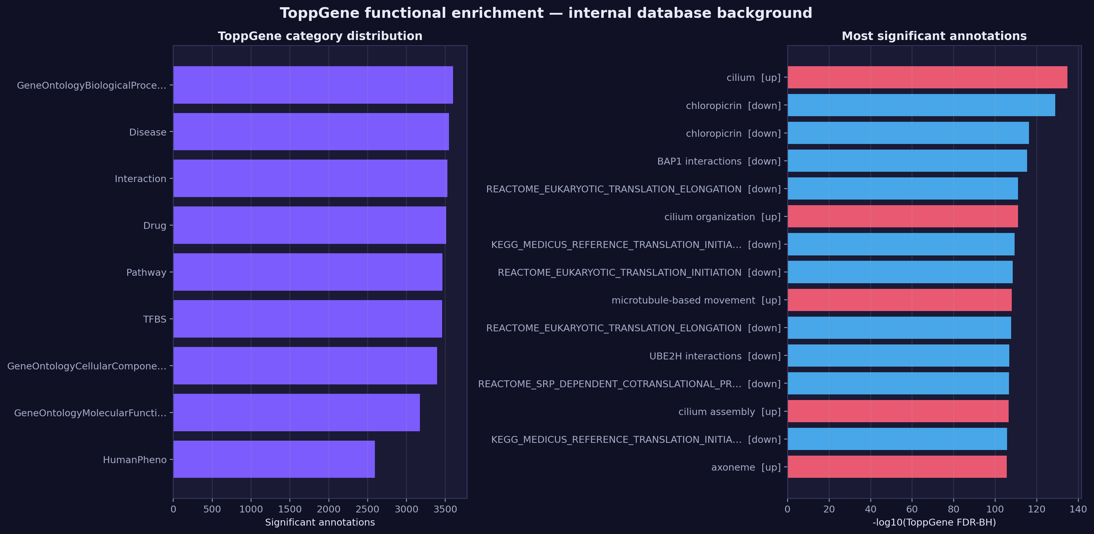 ToppGene Functional Summary