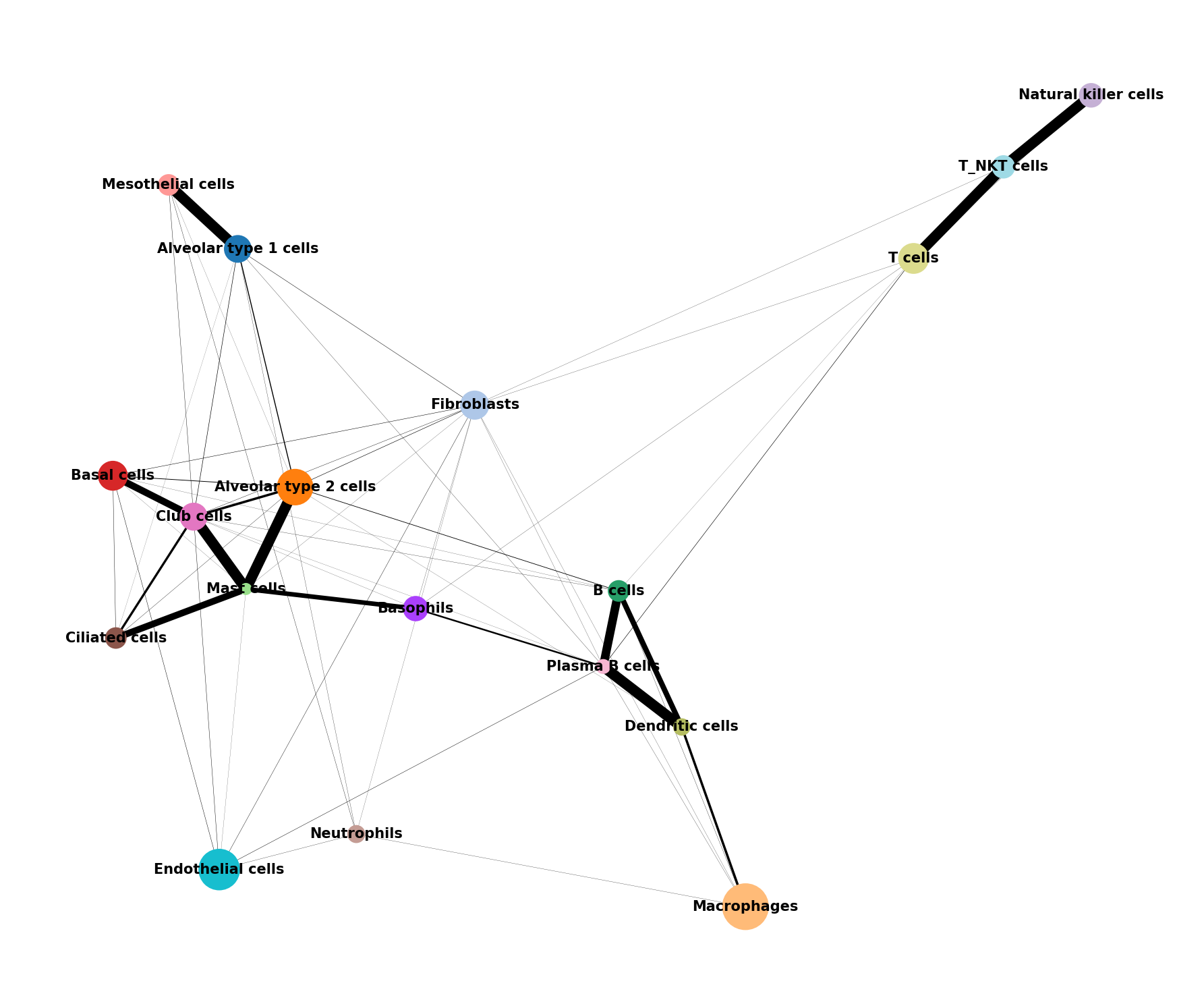 PAGA Connectivity Graph