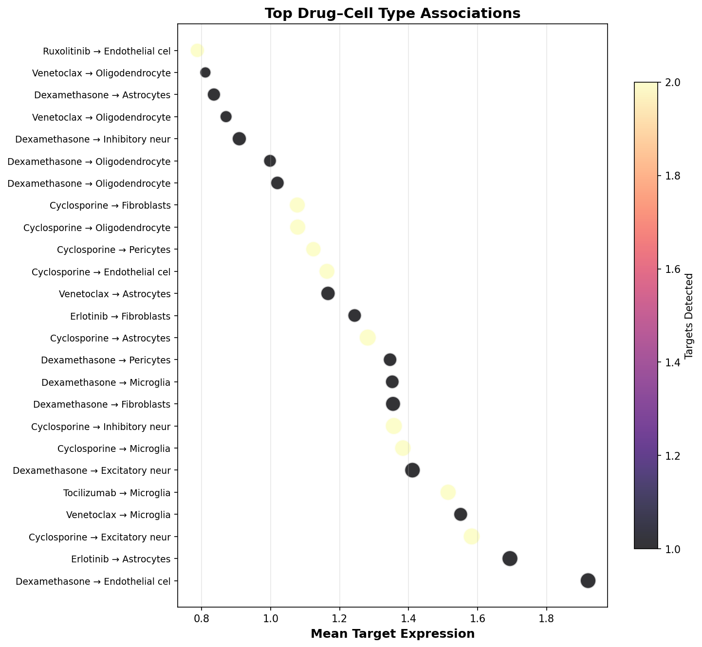Top Drug–Cell Type Associations