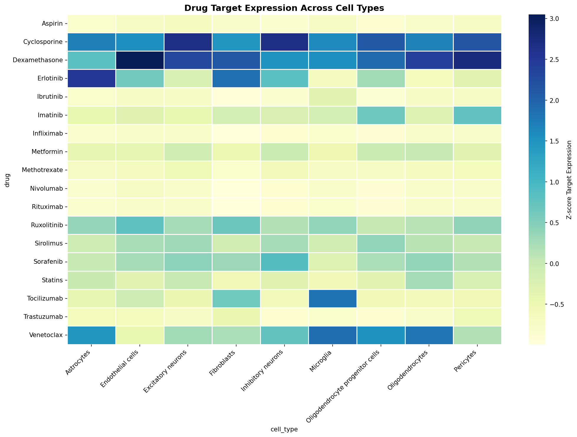 Drug Target Expression Heatmap