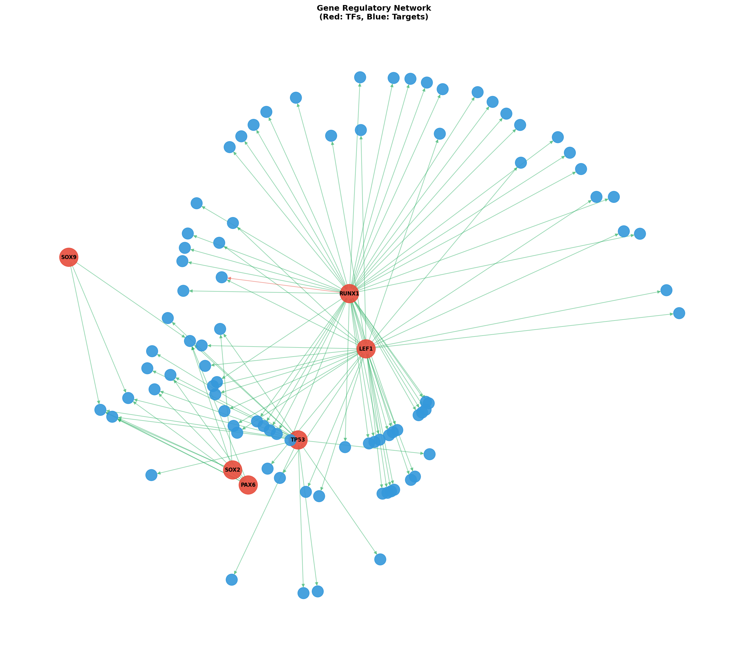 Exploratory TF-Target Association Network
